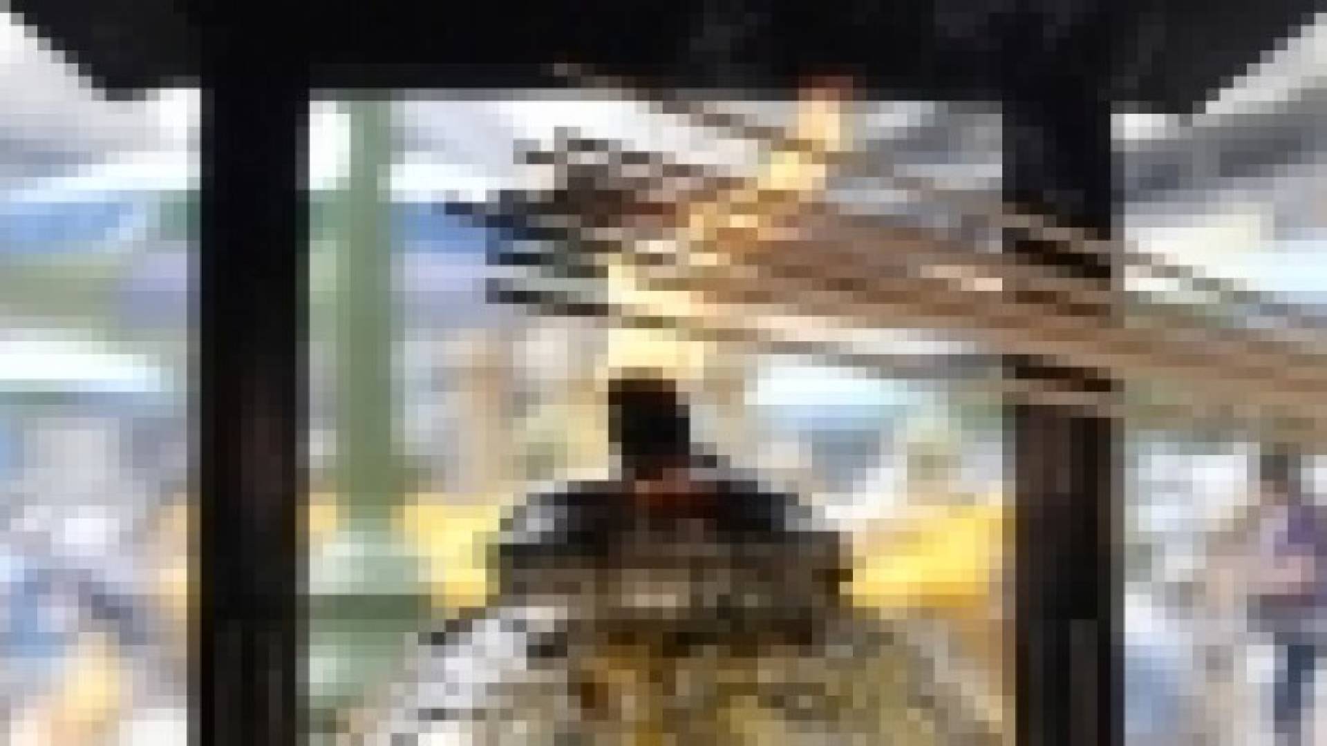 مخاطر صحية في بخور الصندل والعود