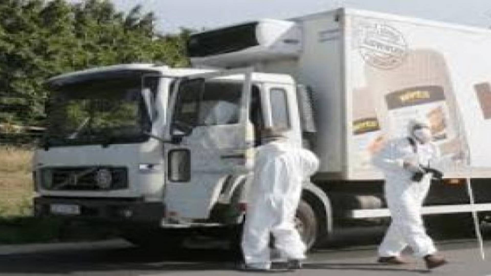 العثور على شاحنة جديدة تقل مهاجرين في النمسا