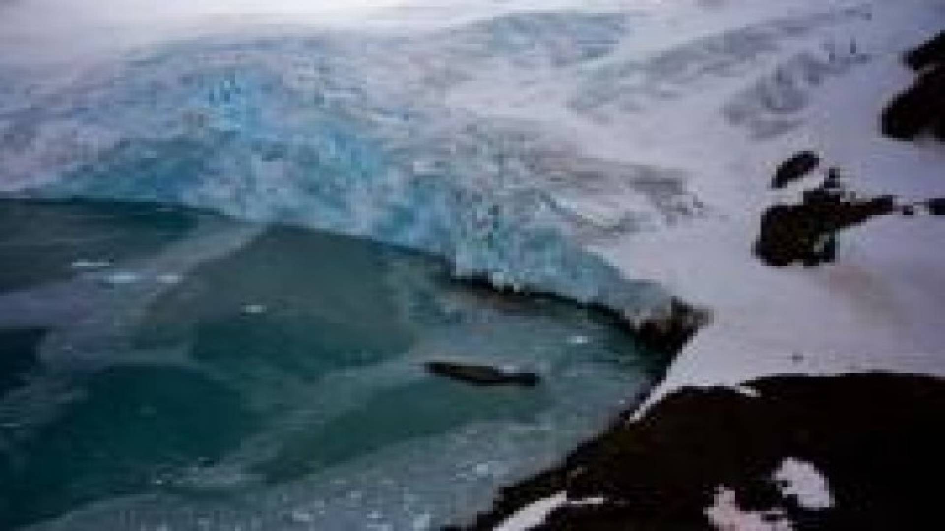 ناسا: ارتفاع منسوب مياه البحر أكثر خطورة مما كنا نظن