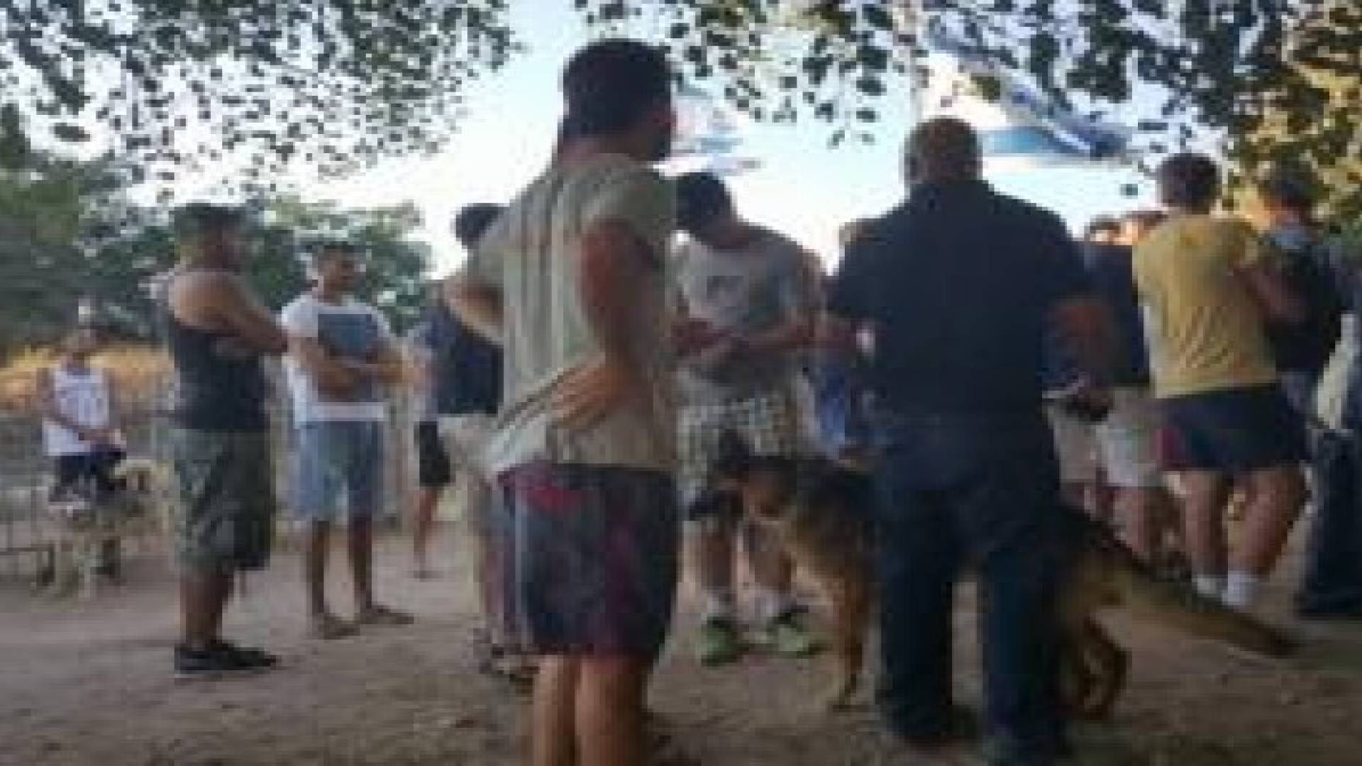 فلسطين المحتلة: اعتقال 5 شبان والاعتداء على نشطاء في "الشجرة"