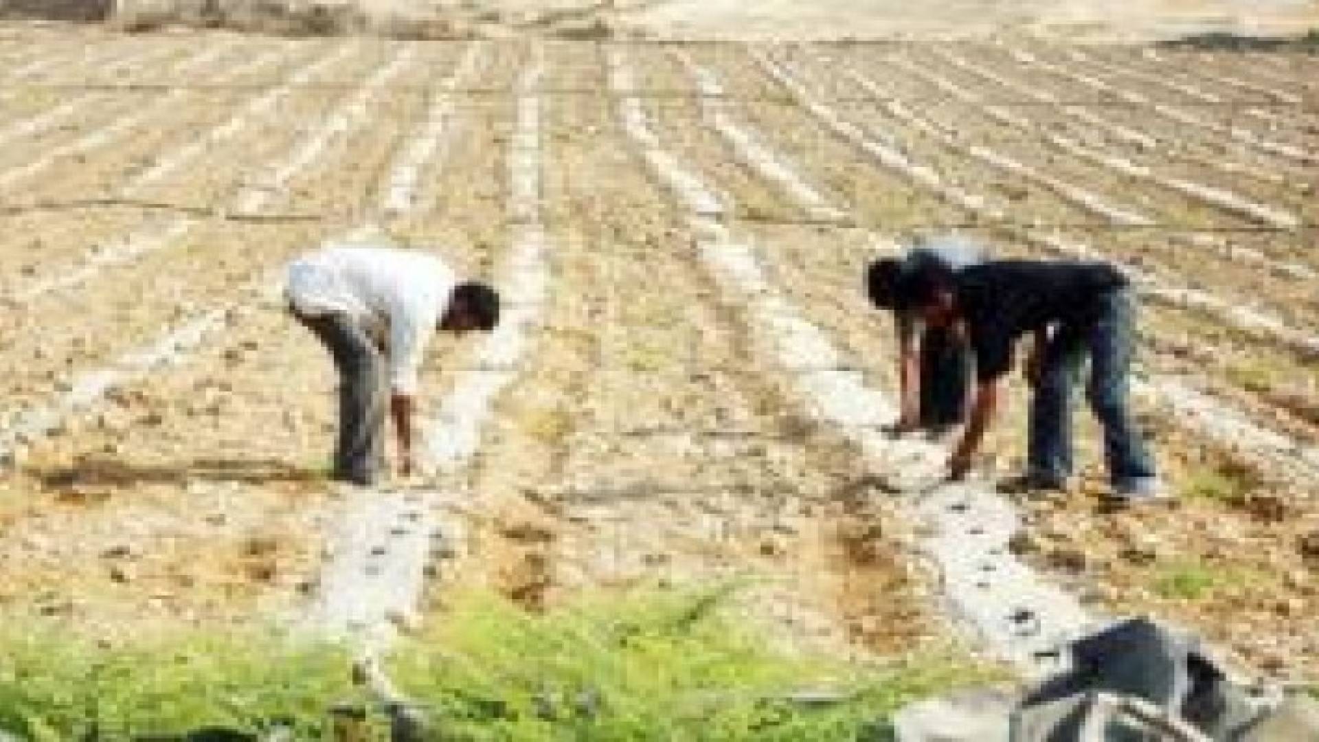 "الاقراض الزراعي" تخفض أسعار الفائدة