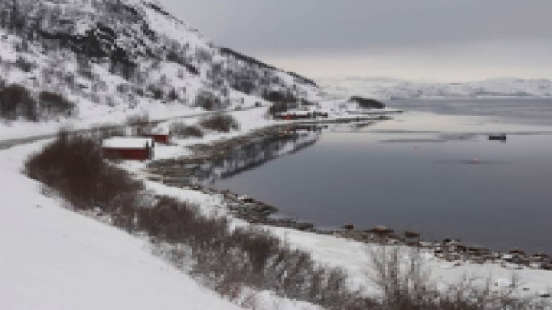 لاجئون سوريون يعبرون إلى أوروبا عبر القطب الشمالي