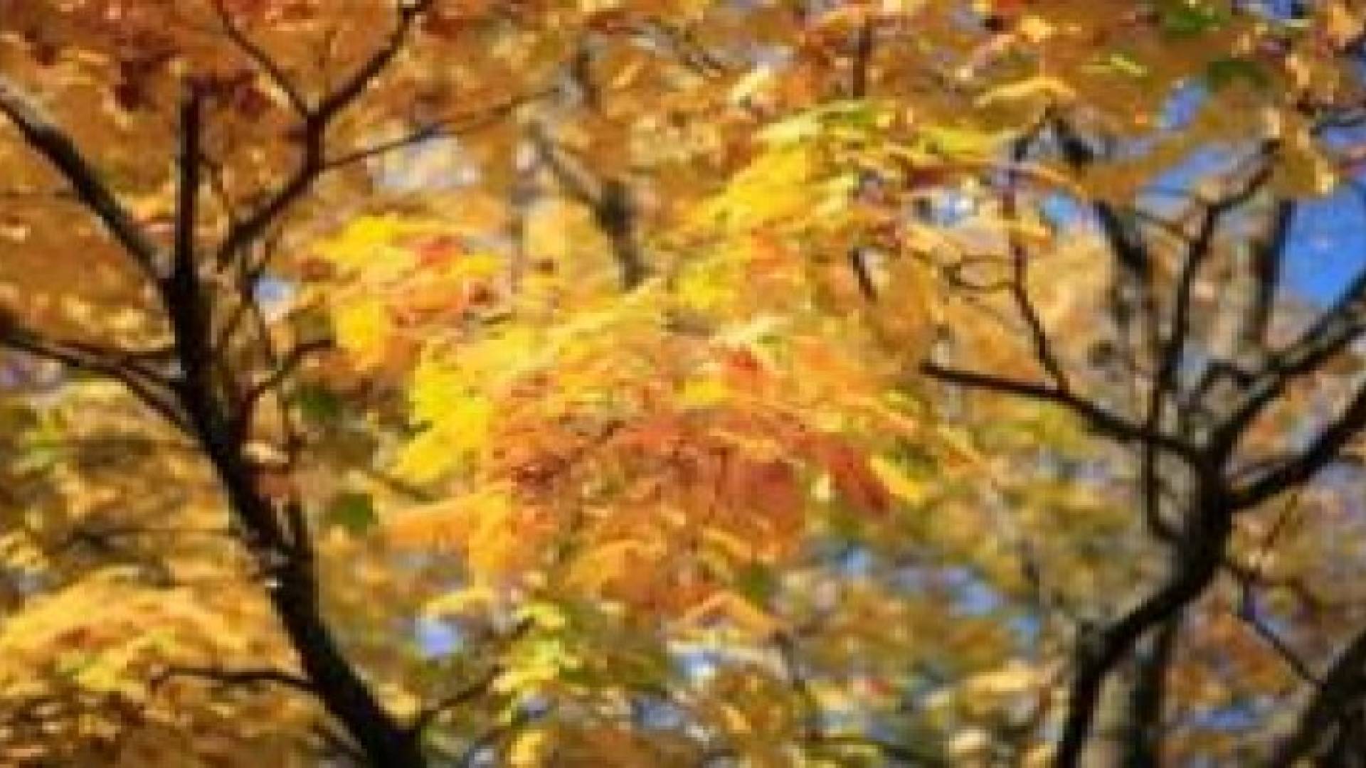 أيلول في سطور: بداية حارة متوقعة وأمطار واردة لاحقا