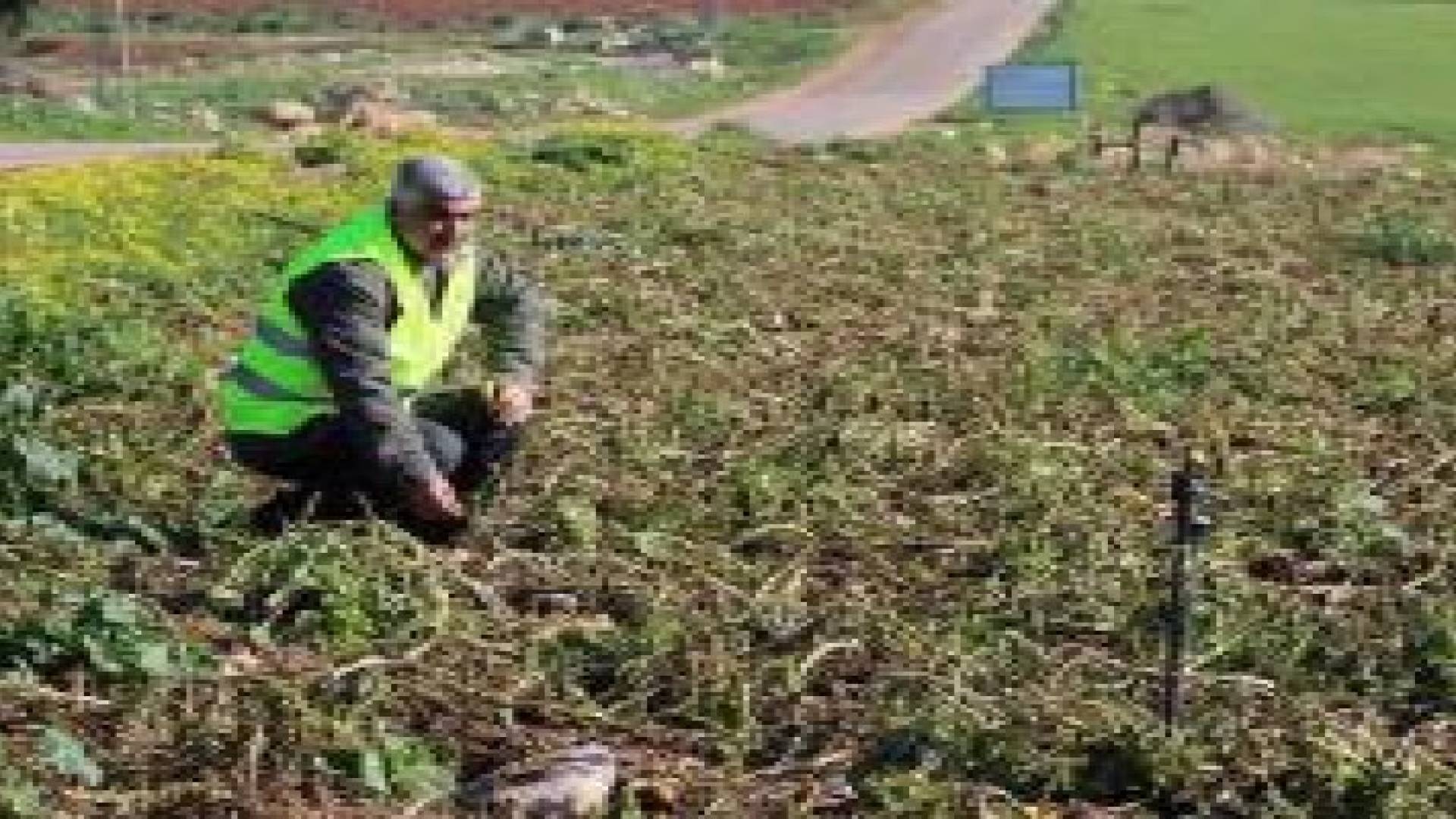 حداداين يستعرض التغيرات المناخية وأثرها على الزراعة في الأردن
