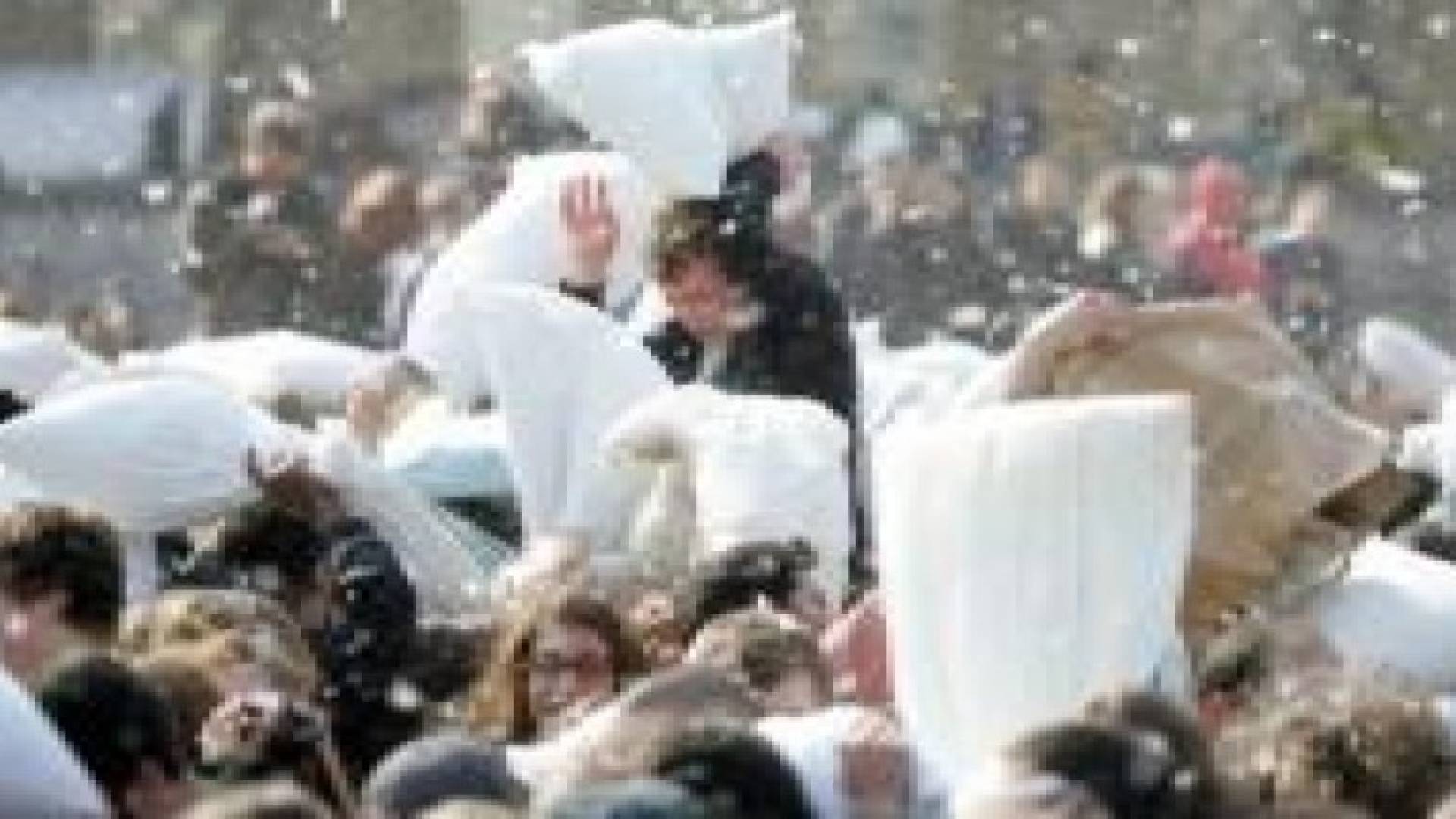 أميركا: معركة الوسائد السنوية تتخذ منحى دمويا