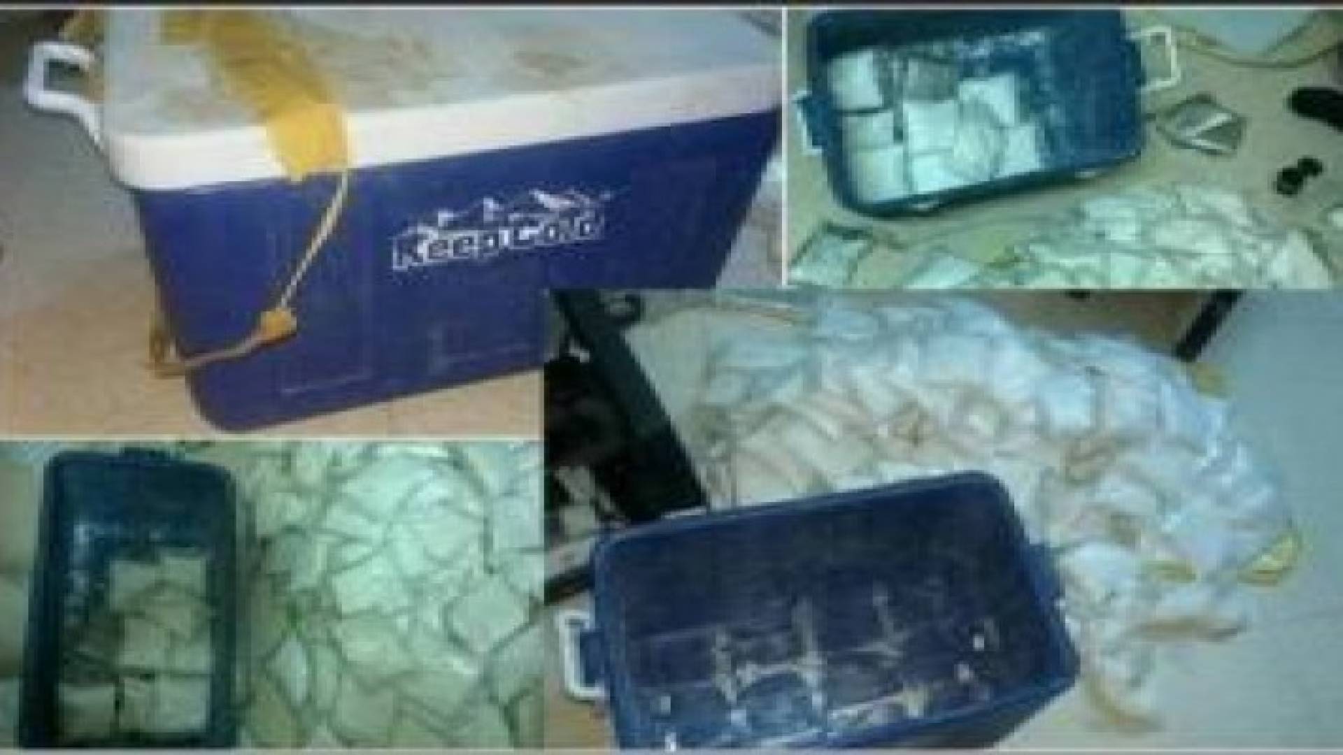 احباط محاولة تهريب 300 ألف حبة مخدرة داخل حافظة طعام