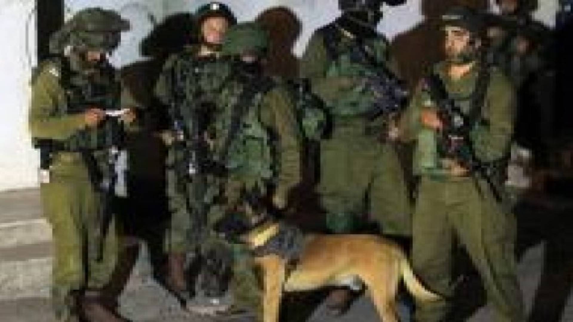 قوات الاحتلال تعتقل 8 شبان بمختلف محافظات الضفة المحتلة