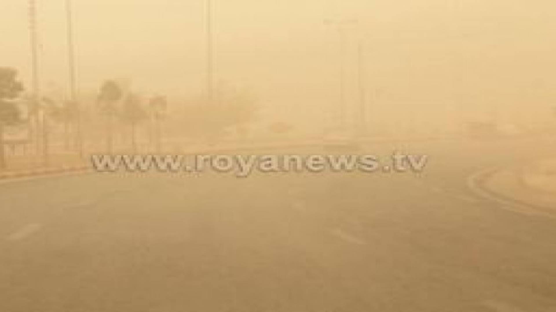 "الزراعة" : تأثيرات سلبية بسيطة للغبار على النباتات