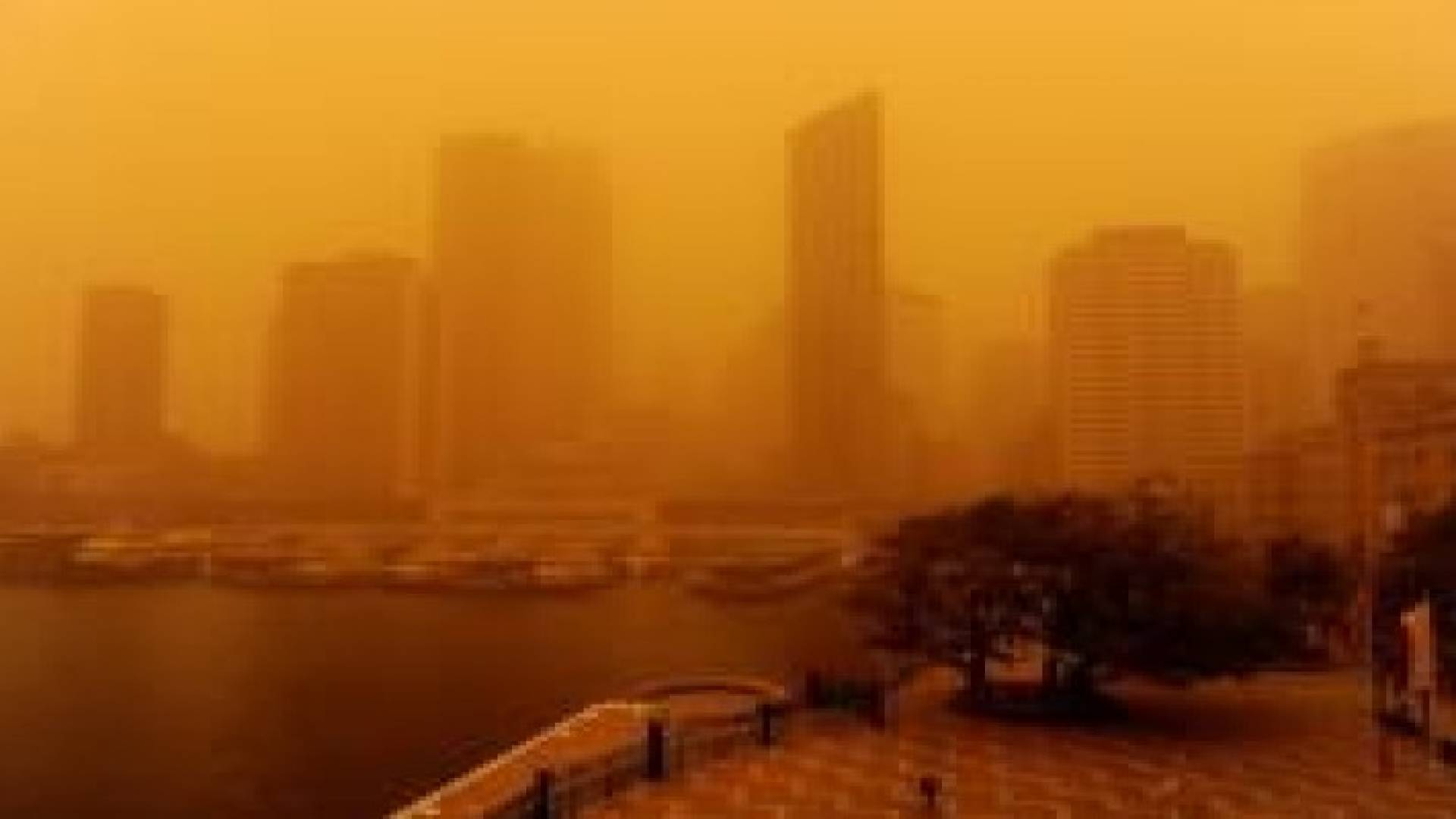 ارتفاع عدد ضحايا العاصفة الرملية في لبنان الى 6