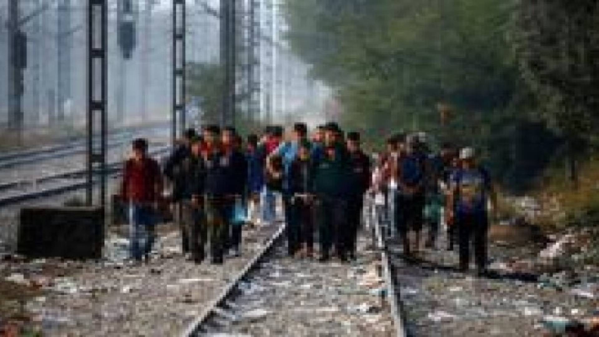 "هيومن رايتس ووتش": الشرطة الهنغارية تعامل اللاجئين كحيوانات