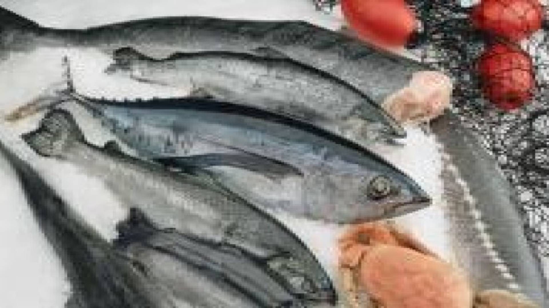 أسماك فريدة تقضي على الاكتئاب وتحير العلماء