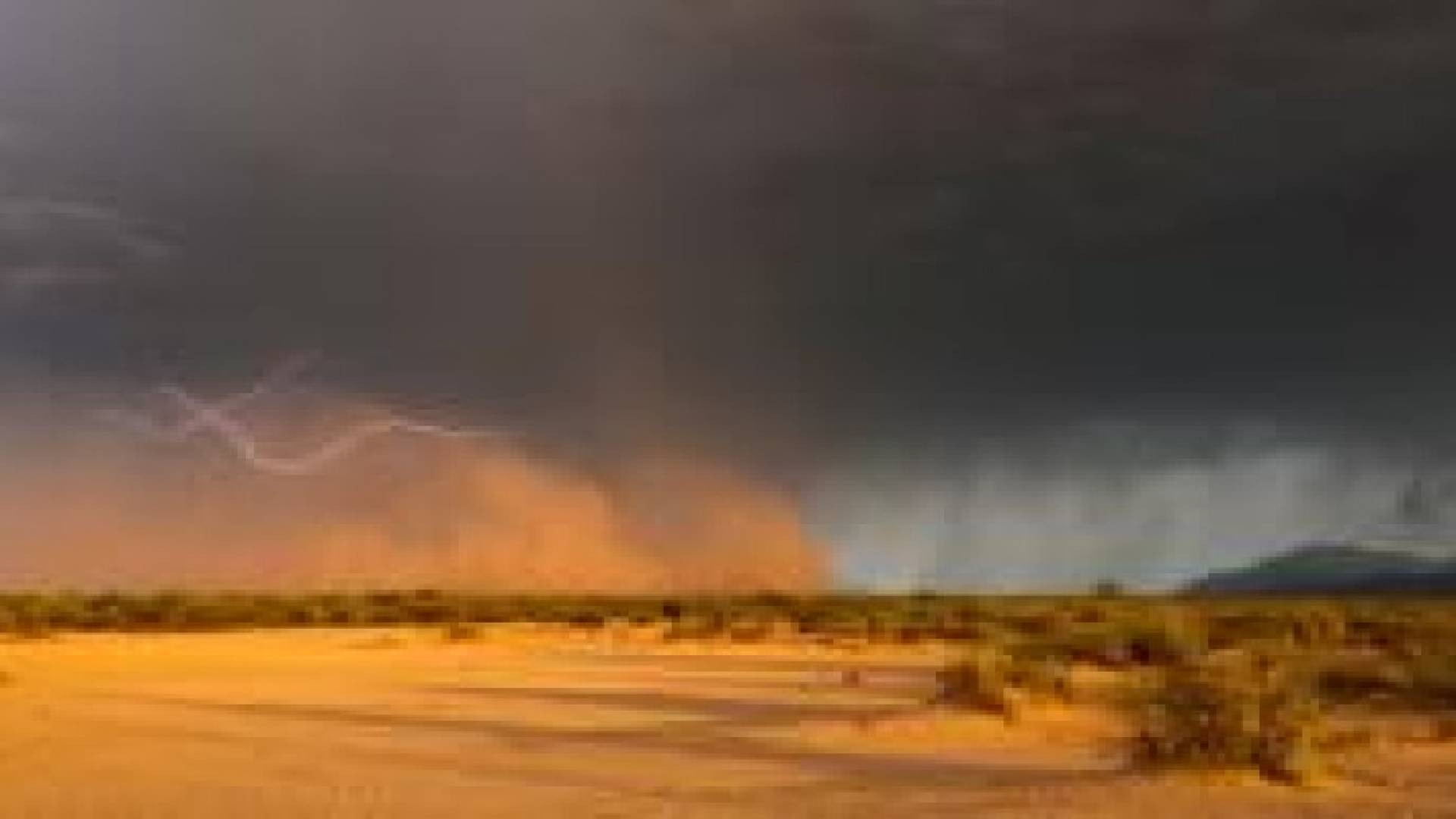 أمطار في الجنوب .. وتحذيرات من موجات غبار محتملة