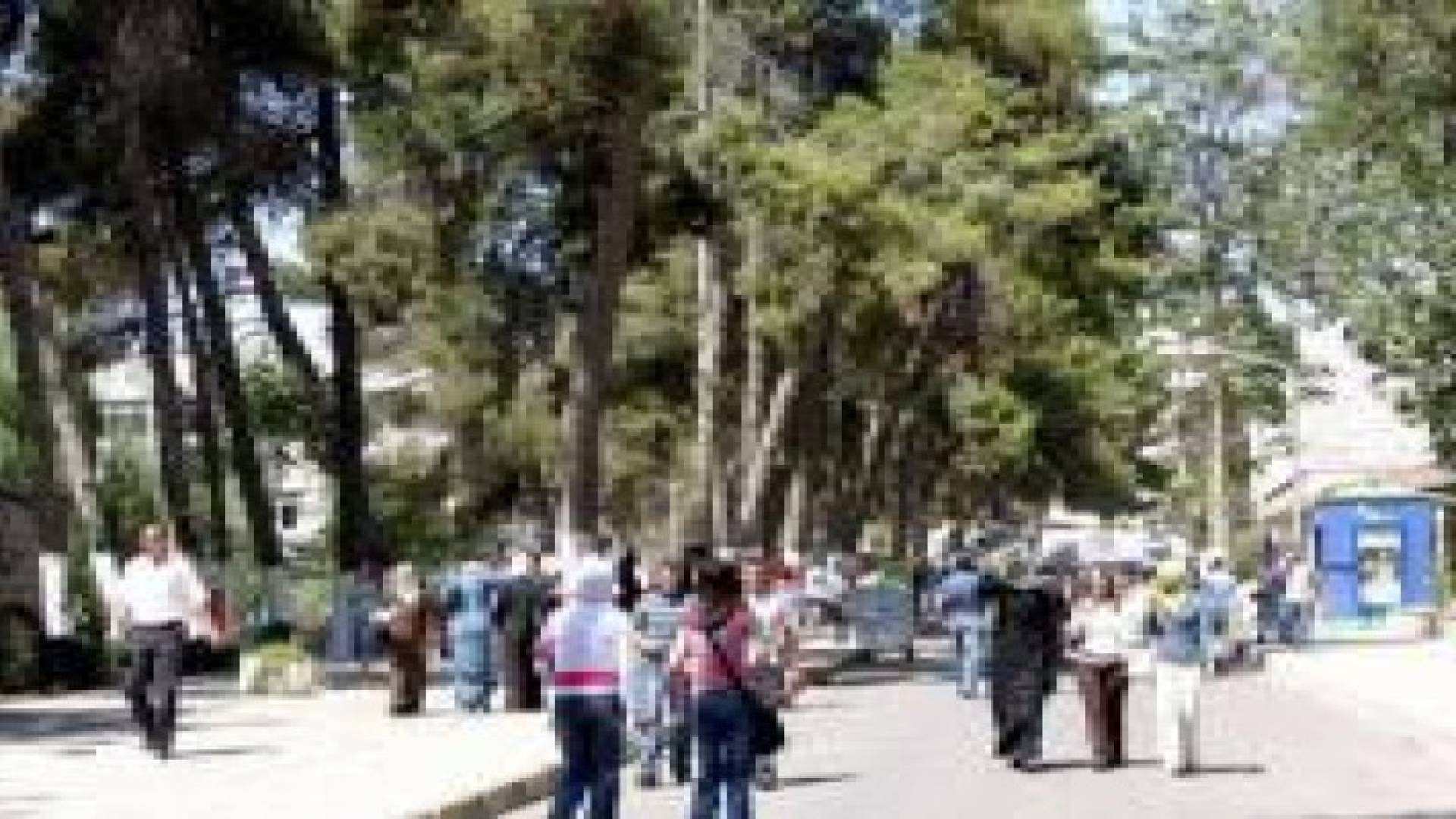 استدعاء أوائل الجامعات للتعيين الأسبوع المقبل