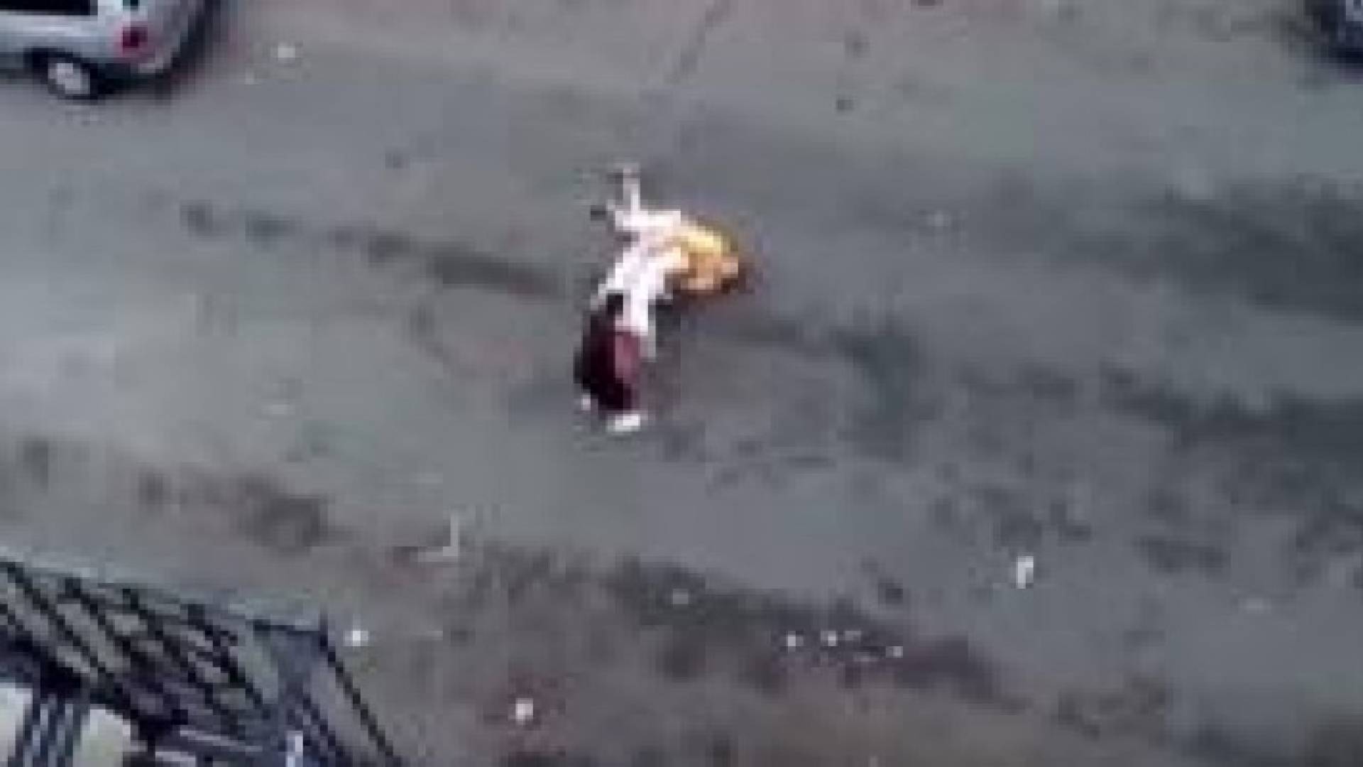 بالفيديو : رجل يواجه كلبين شرسين بأحد شوارع نيويورك