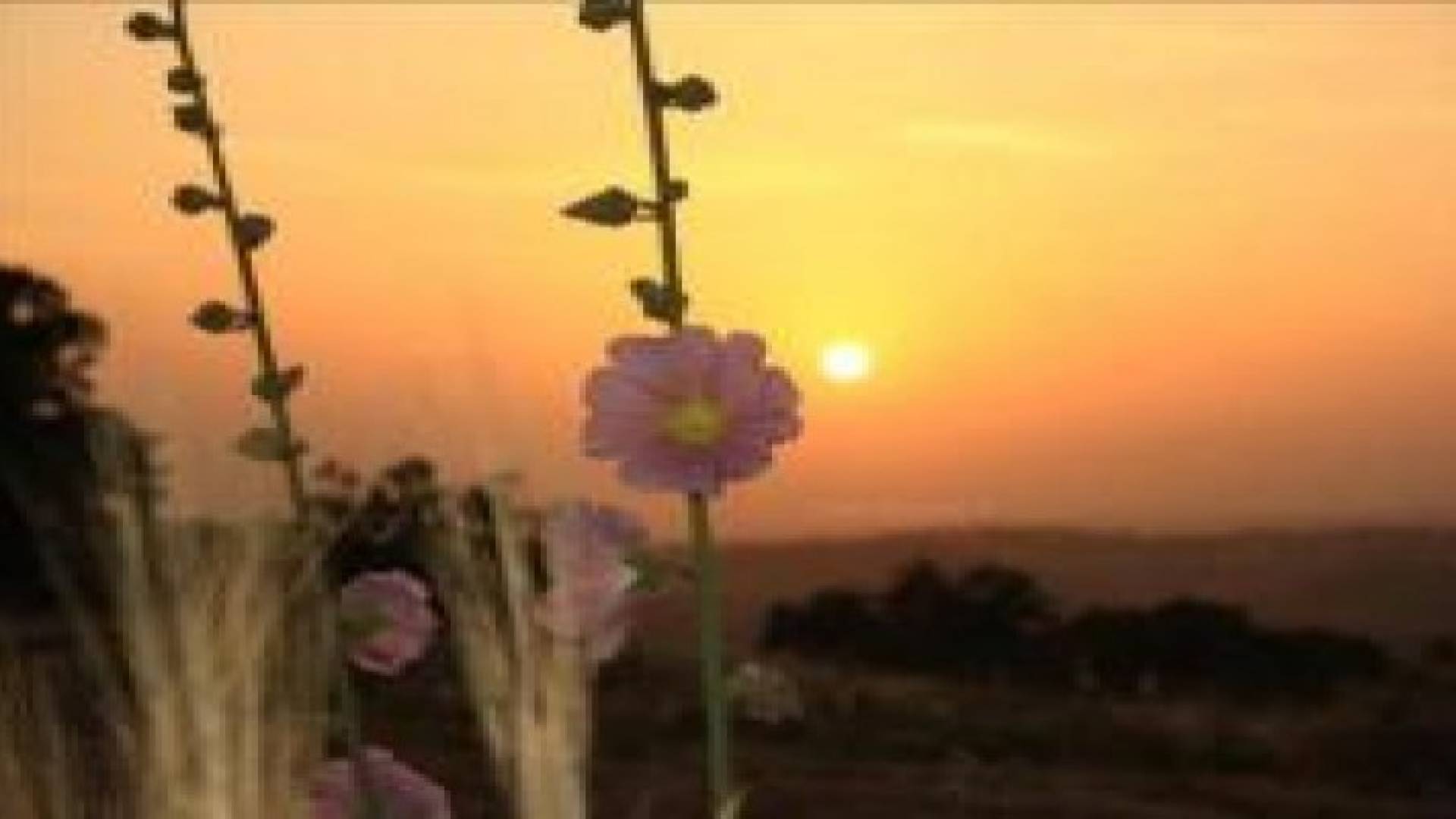 انخفاض درجات الحرارة وبقاء الأجواء غير مستقرة جنوب وشرق المملكة