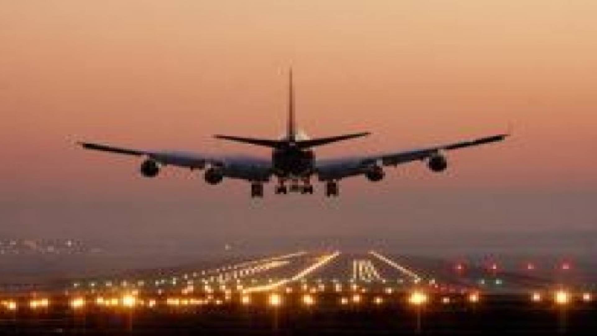 طيار كندي يغير مسار رحلة دولية لسلامة كلب