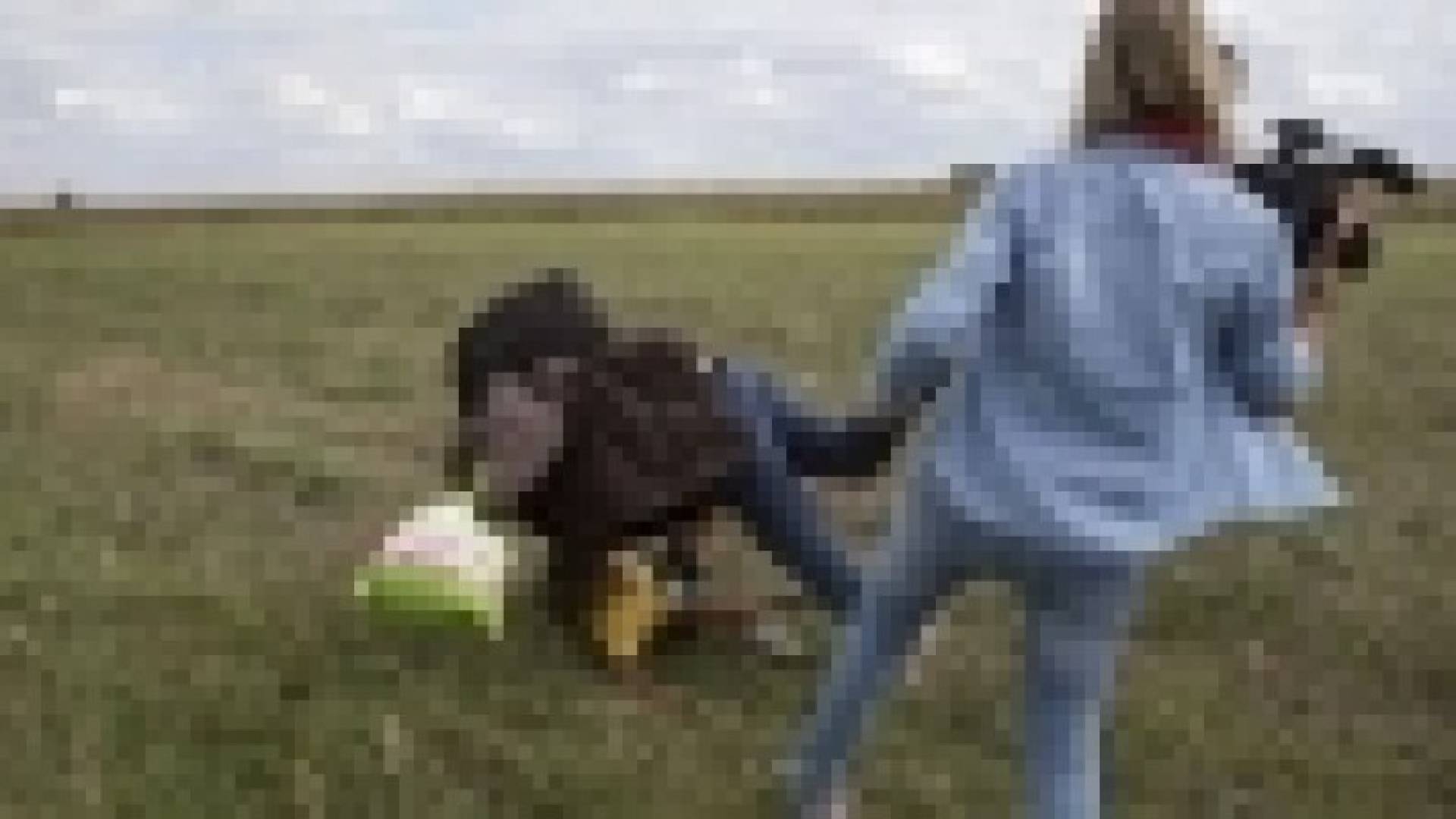 إسبانيا تعين ضحية المراسلة المجرية مدربا لكرة القدم