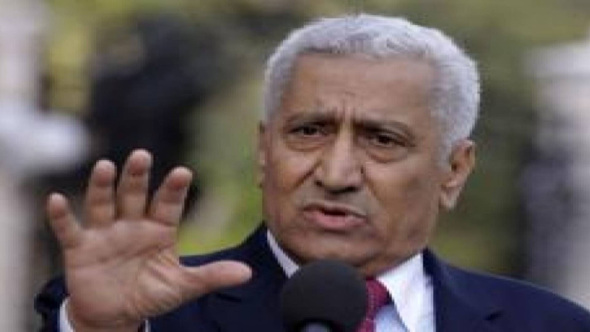 النسور: الاعتداءات الاسرائيلية على الاقصى تتعارض مع وعودها والتزاماتها