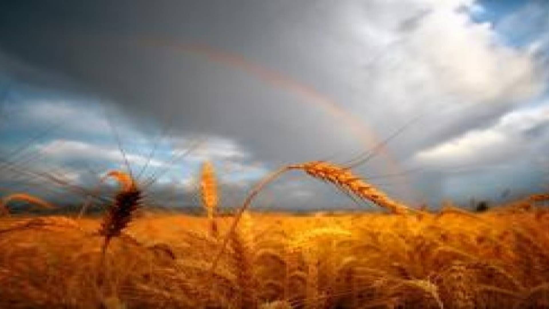 نسمات الخريف تهب على المملكة الاثنين القادم