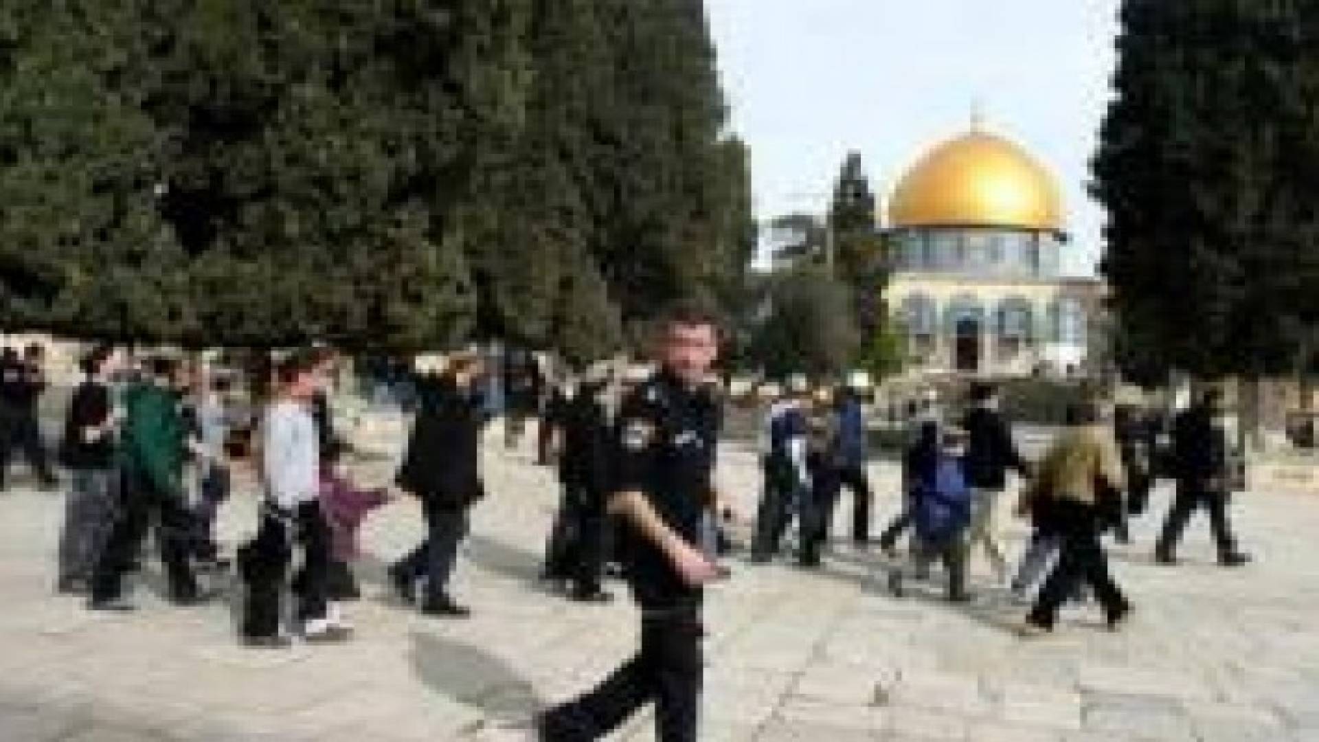 مجموعة ارهابية توراتية تقتحم "الأقصى" تحت حراسة قوات الاحتلال