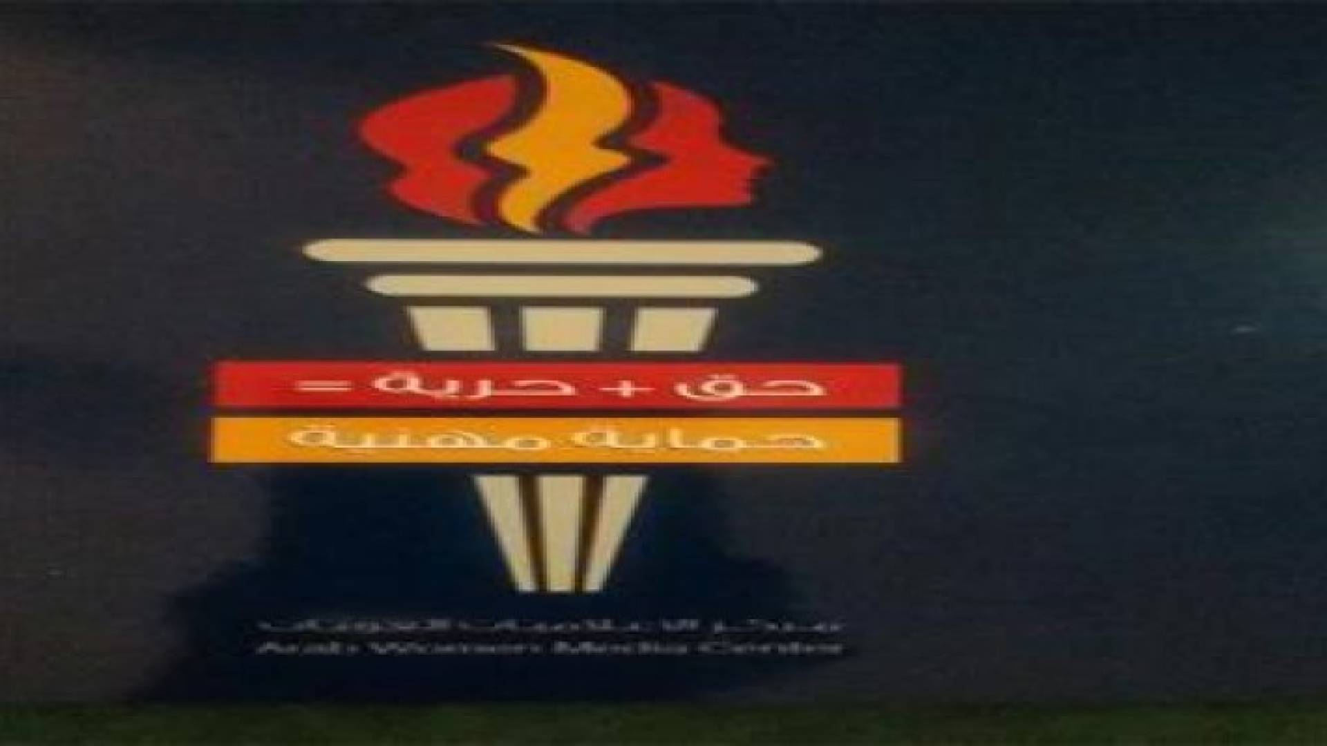 مركز الاعلاميات العربيات يصدر دليل تدريبي في مجال الاعلام وحقوق الانسان