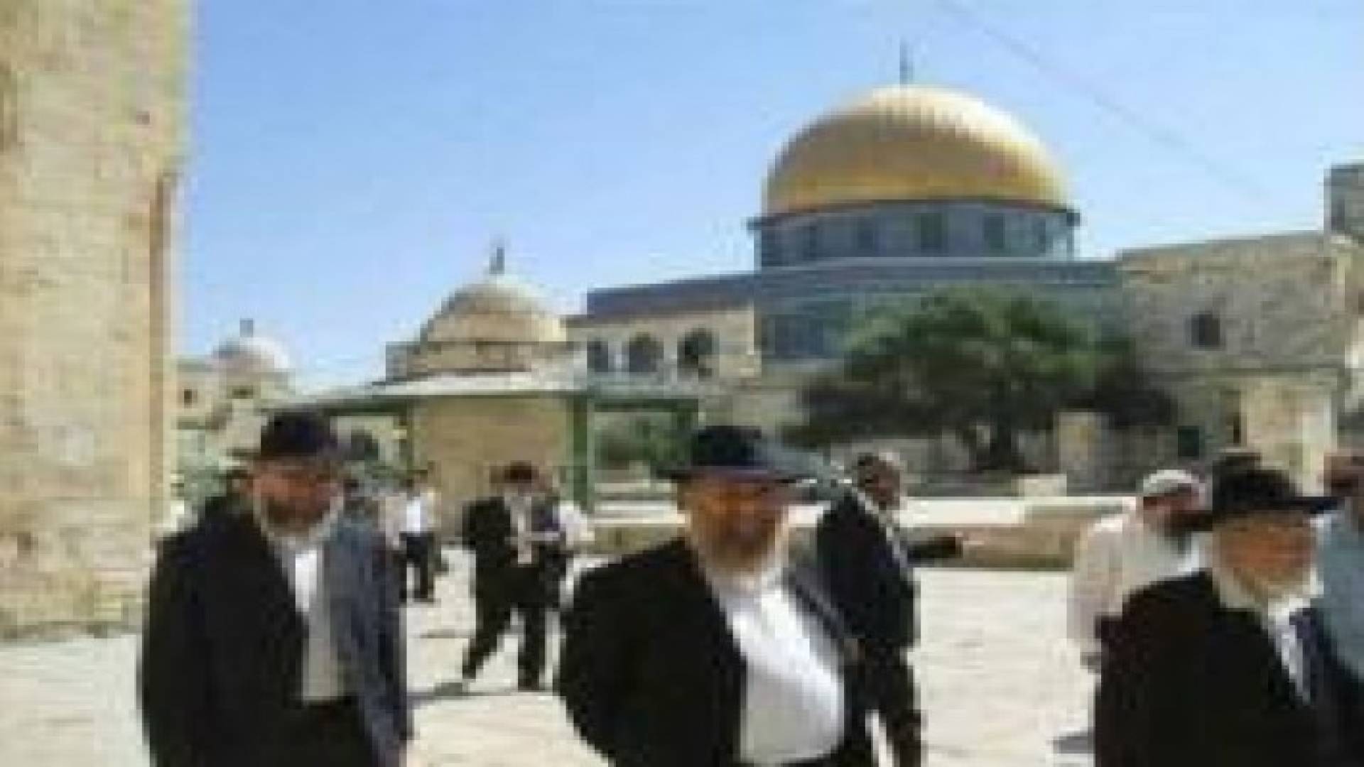 مستوطنون يقتحمون الأقصى مجددا