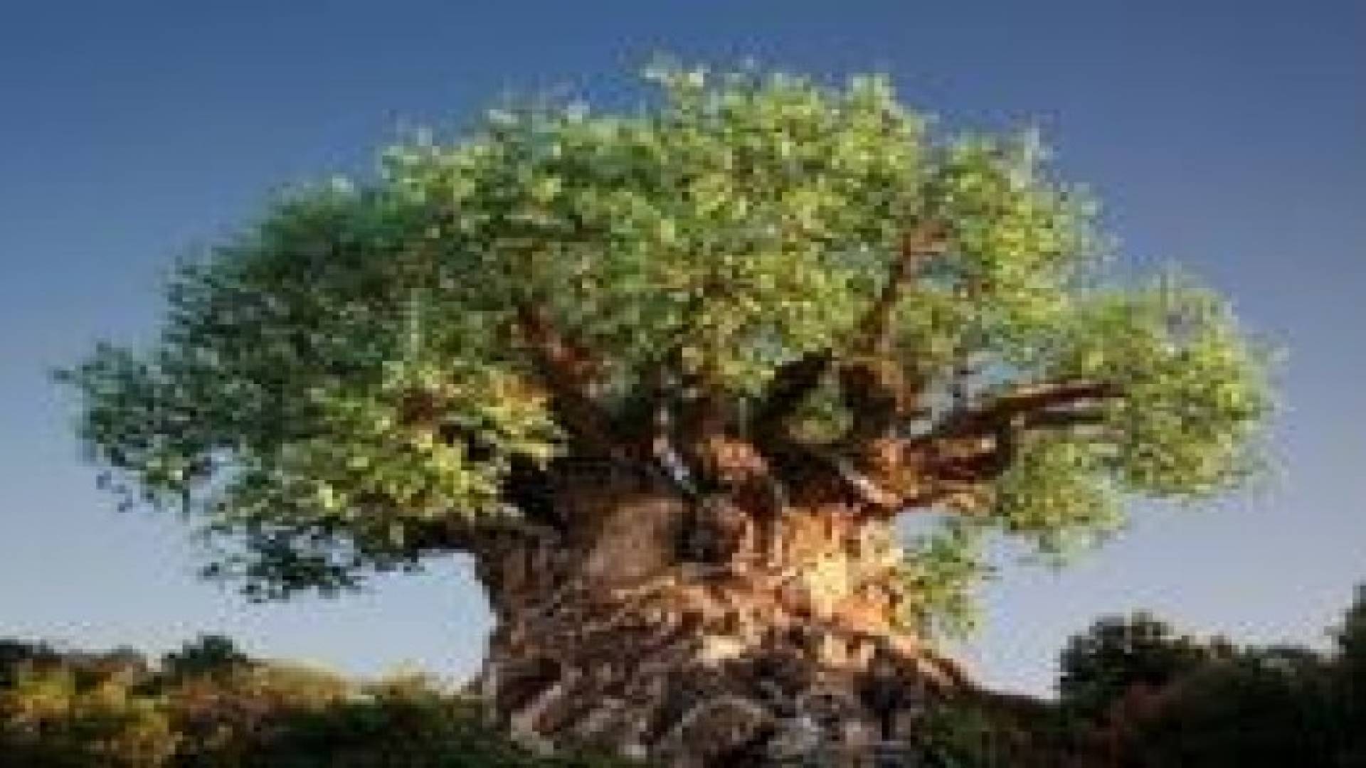 "شجرة الحياة" تضم نحو 2.3 مليون كائن حي