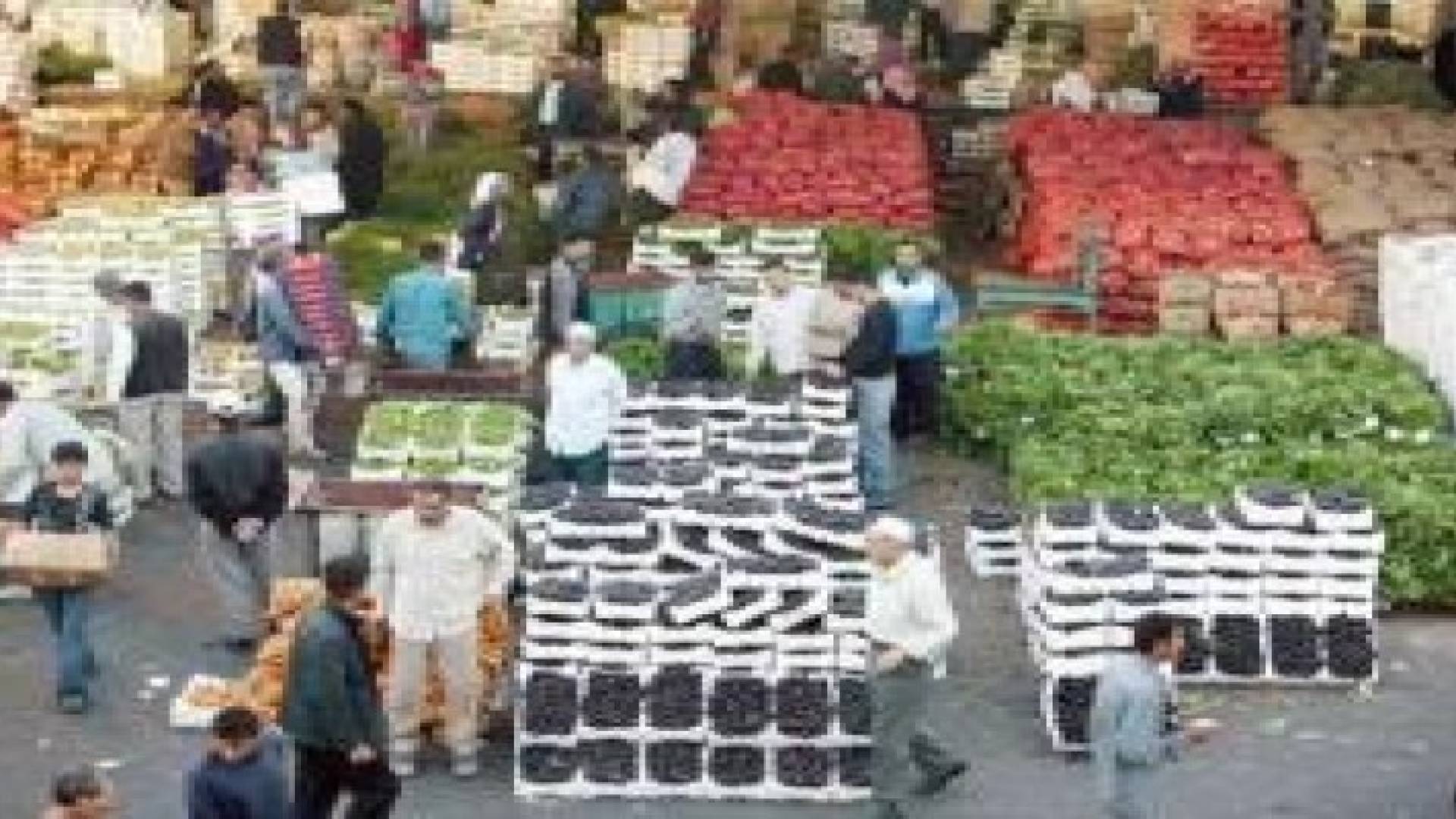 دوام سوق الجملة المركزي خلال عطلة العيد