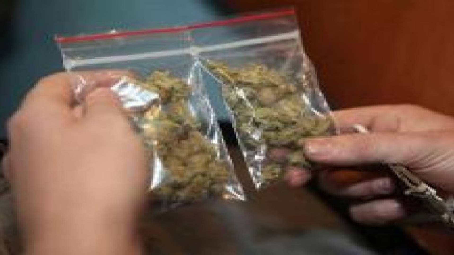 الرمثا: ضبط 58 كيس مارجوانا داخل مركبة