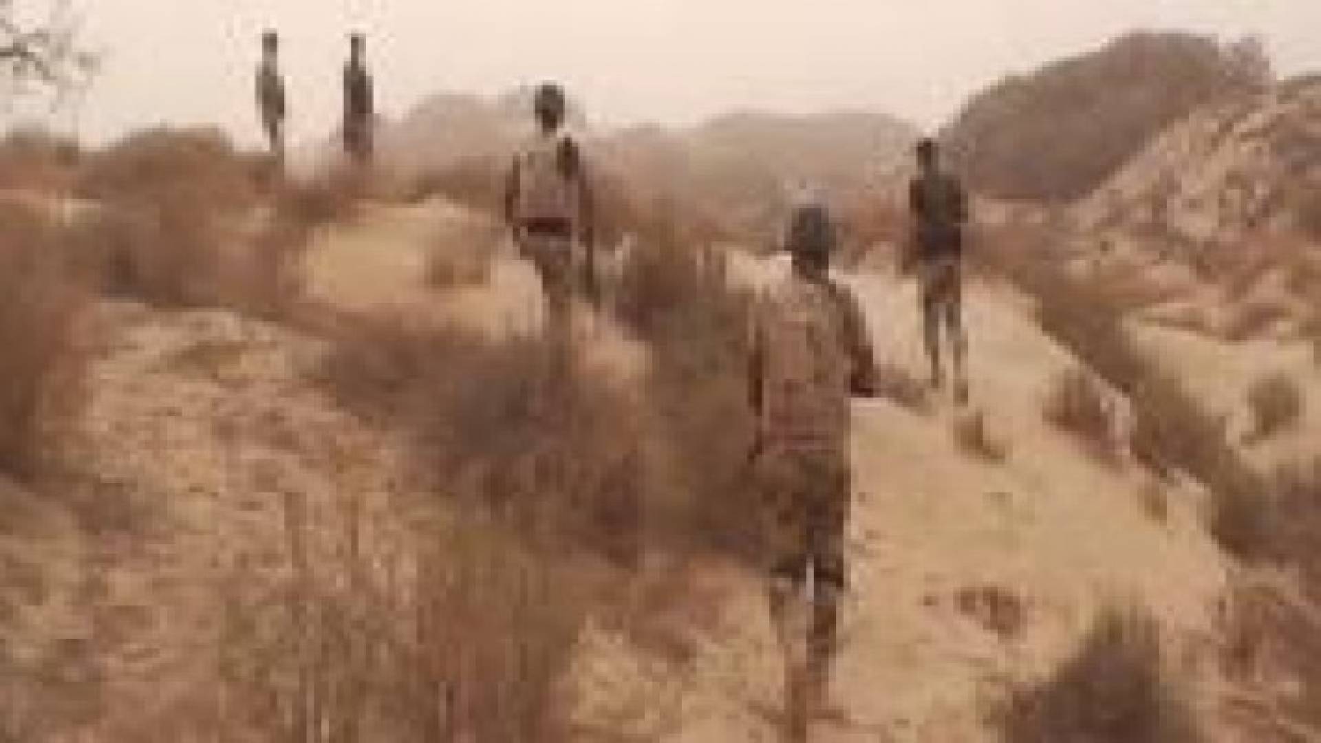 القوات المسلحة المصرية: نجحنا فى تدمير البؤر والمراكز الرئيسية للعناصر الإرهابية فى سيناء