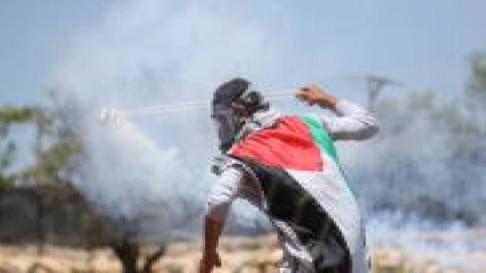 وزيرة اسرائيلية تقدم مقترحا بمعاقبة عائلات "راشقي الحجارة"