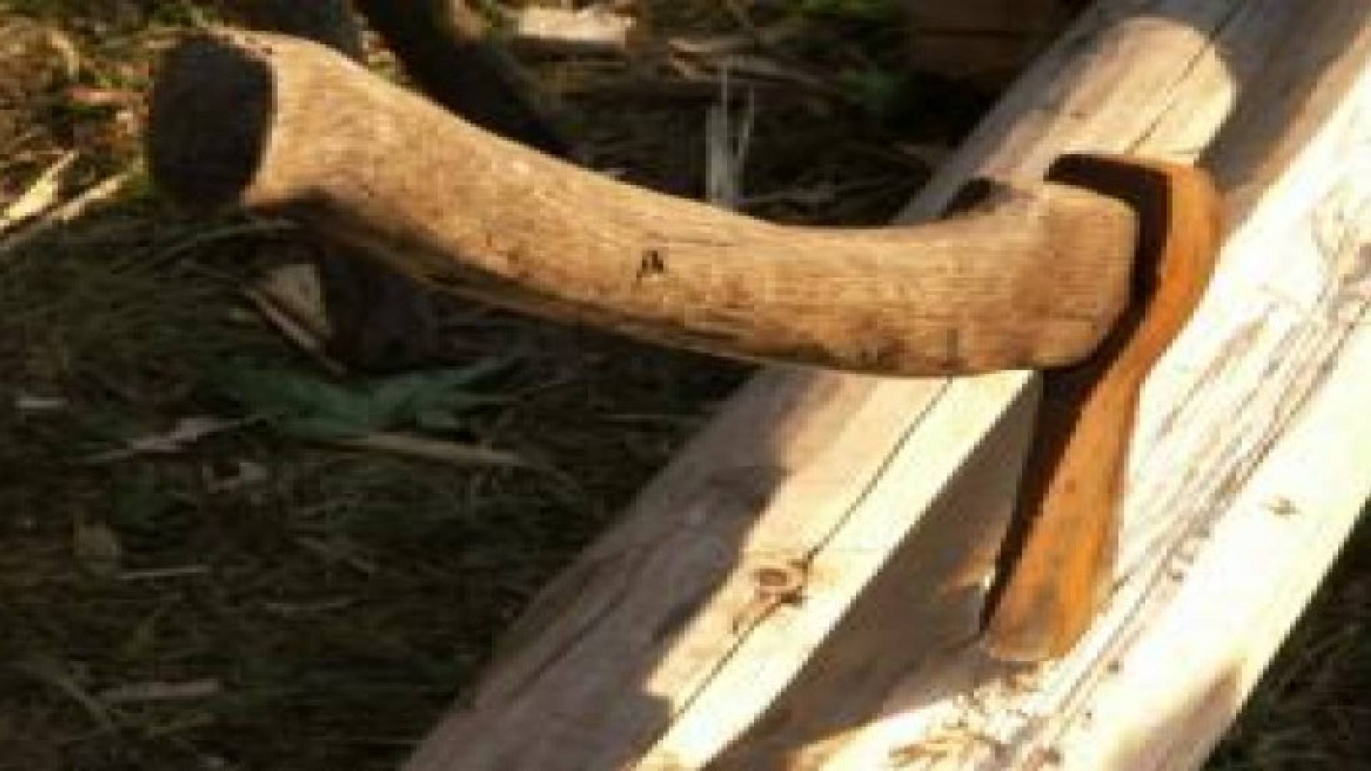 تفاصيل جريمة الطفيلة .. أب قتل أبنه لأنه هدده بـ"فأس"