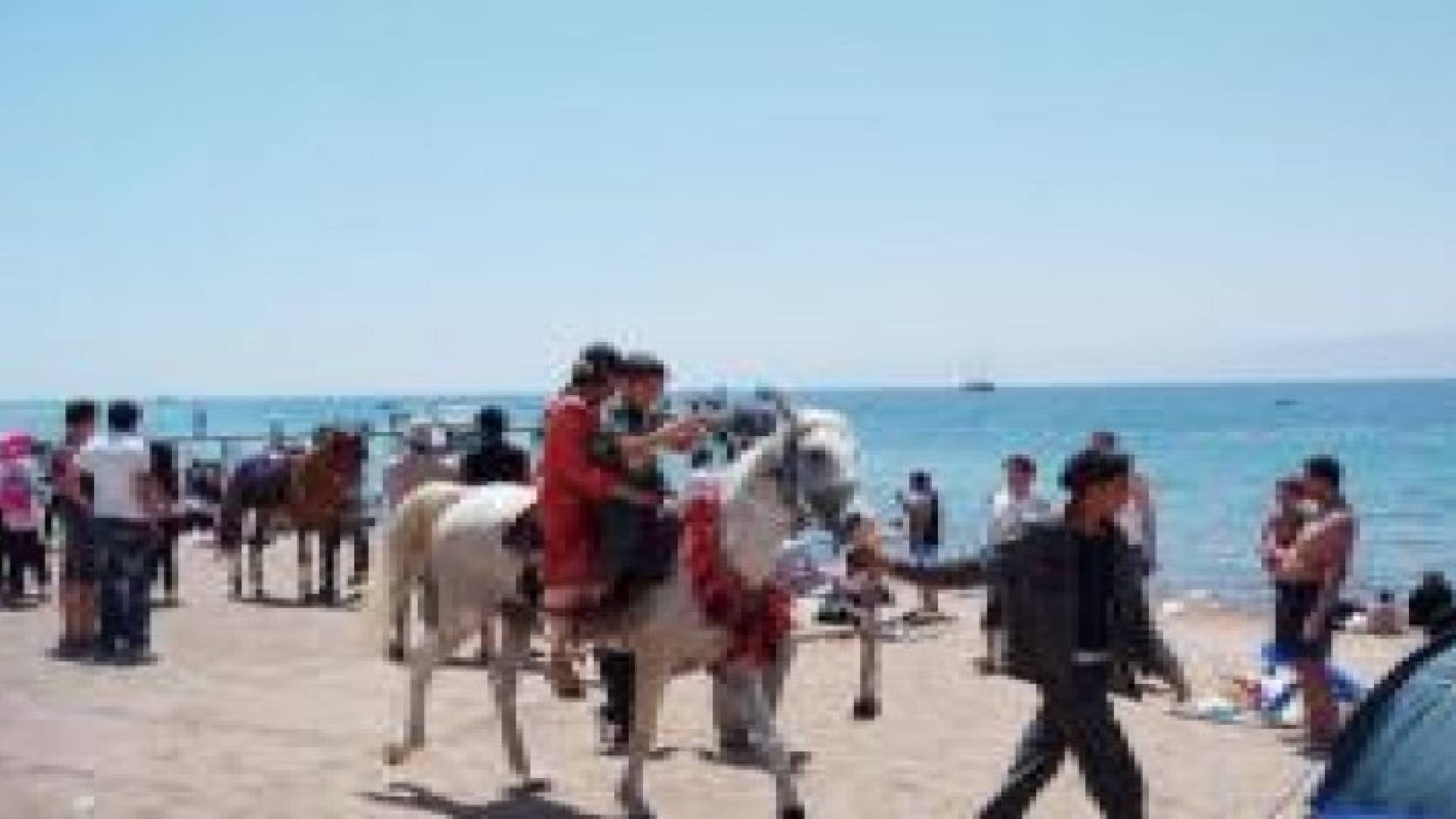 50 ألف زائر للعقبة في العيد