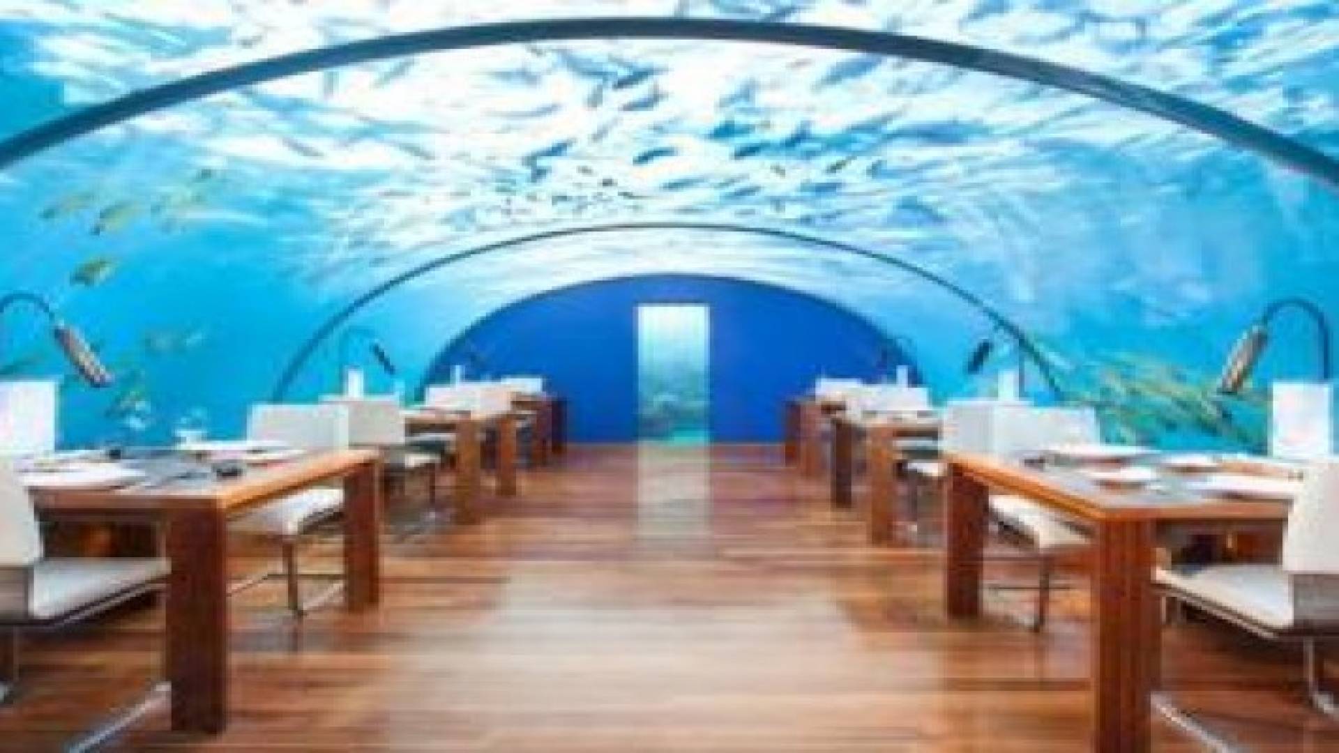 أغرب الأماكن لتناول الطعام والشراب في العالم.. صور