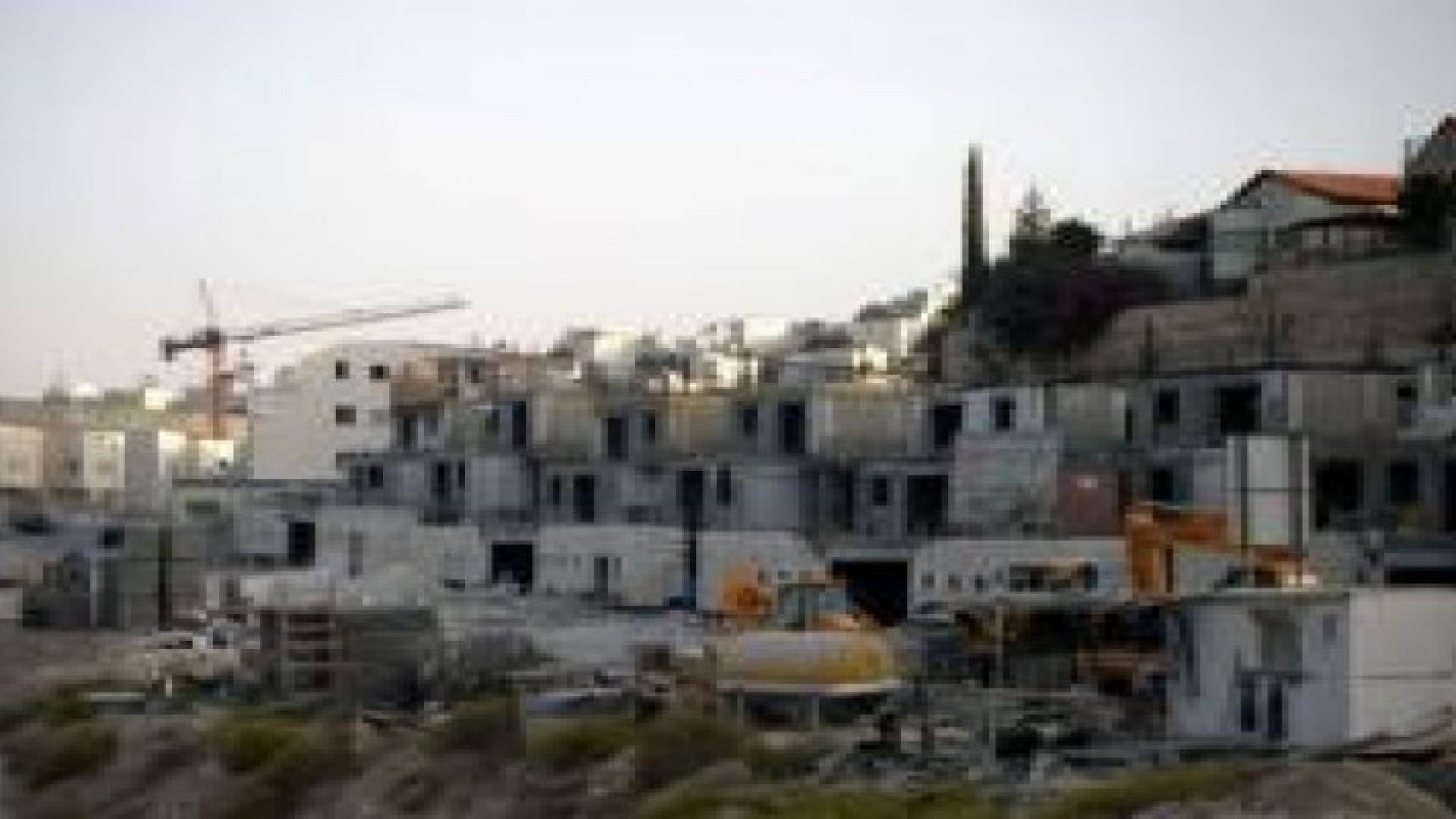 السعودية تطالب بوضع المنظمات الاستيطانية بقوائم الإرهاب