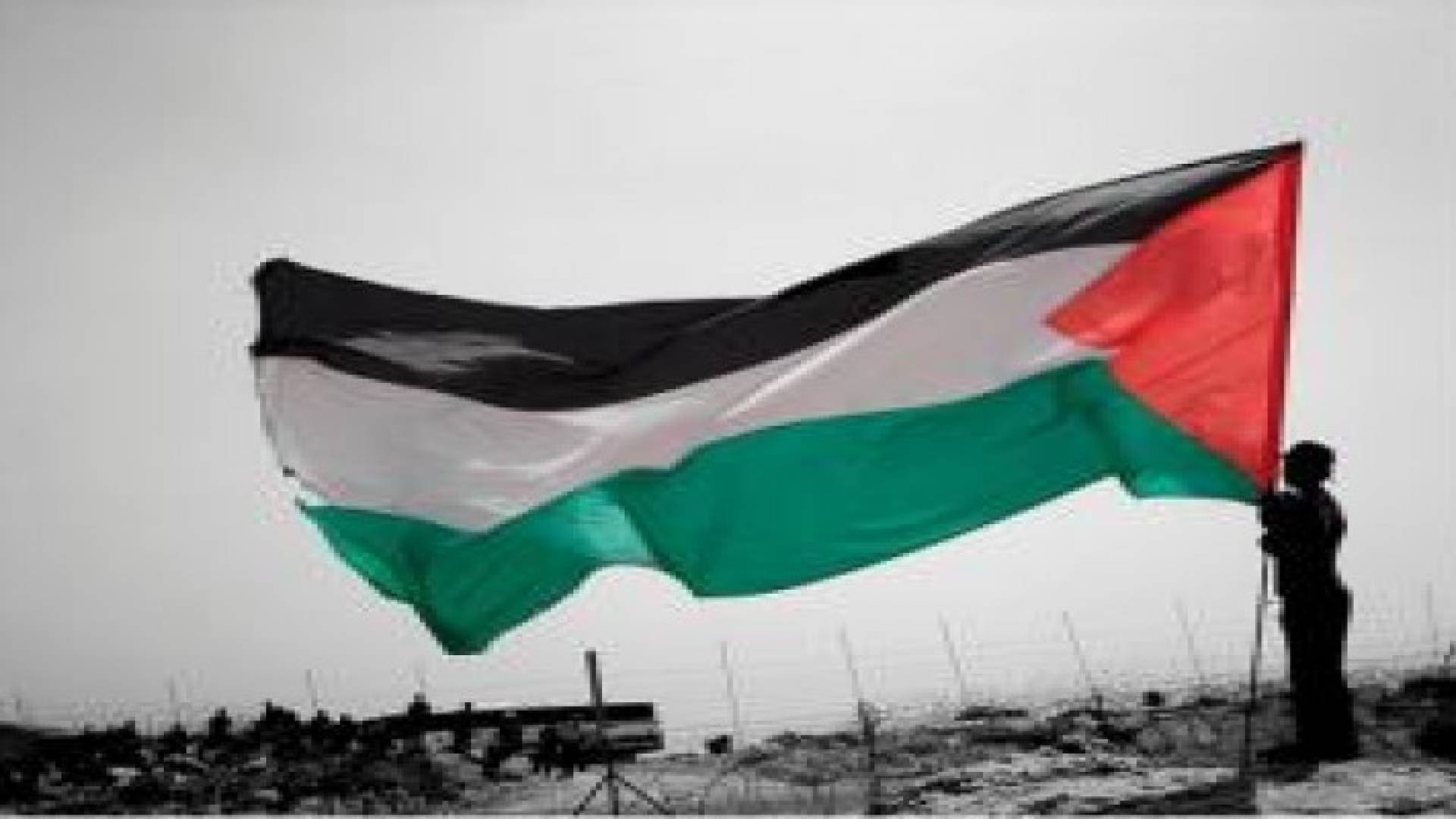 علم فلسطين الآن على نظام "IOS"