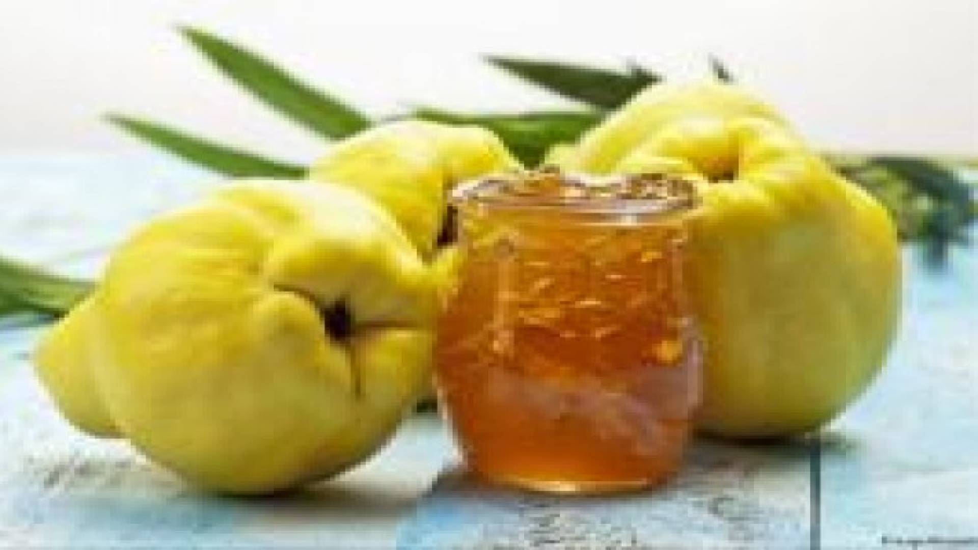 السفرجل يخفض الكولسترول