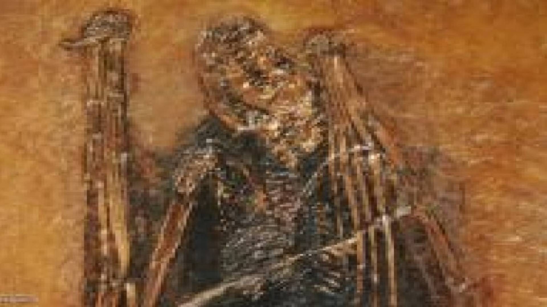 التوصل لألوان كائنات منقرضة