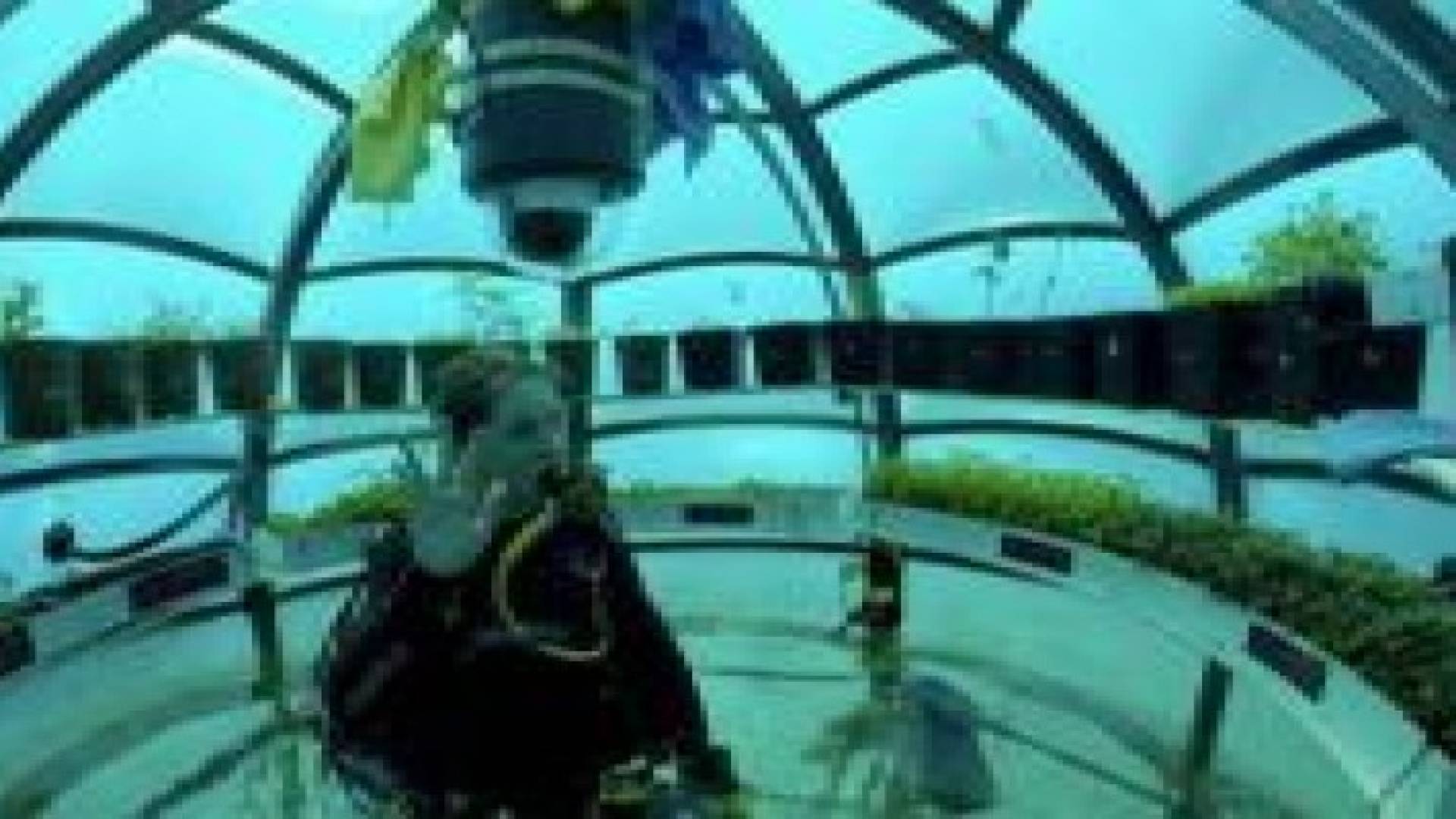 شركة إيطالية تدشن أول حديقة لإنتاج الخضروات تحت الماء