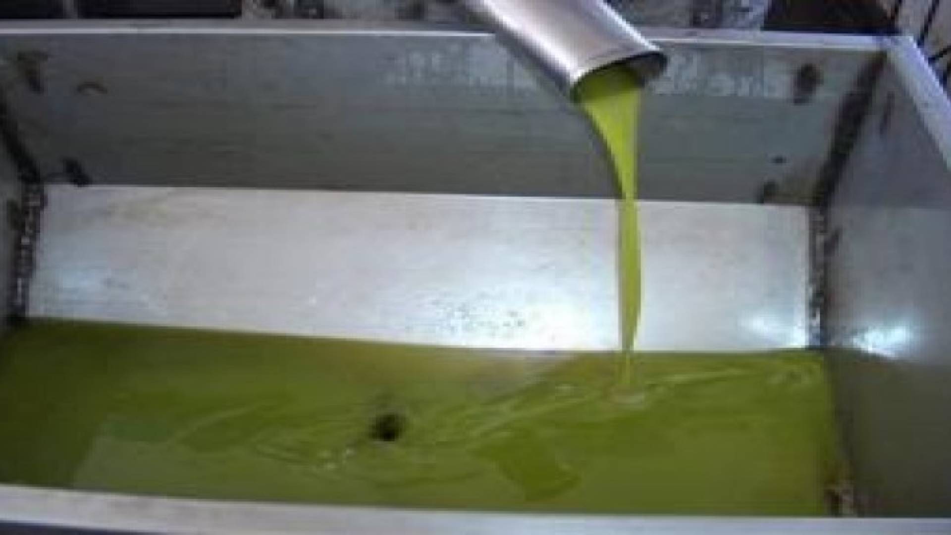 ترجيح سعر تنكة زيت الزيتون بين 75 - 80 دينارا