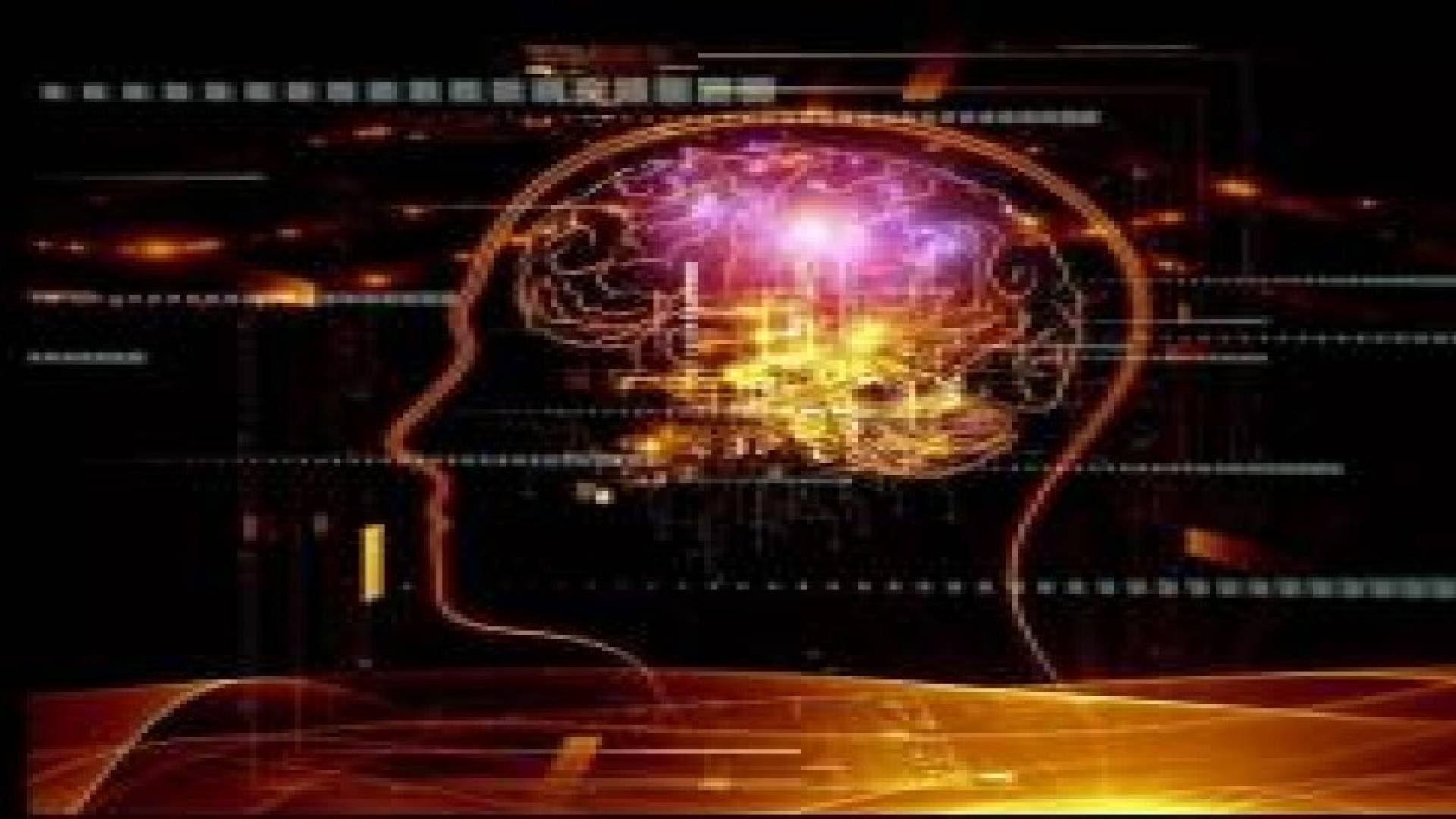 شرائح في مخ الانسان لتبادل المعلومات إلكترونيا