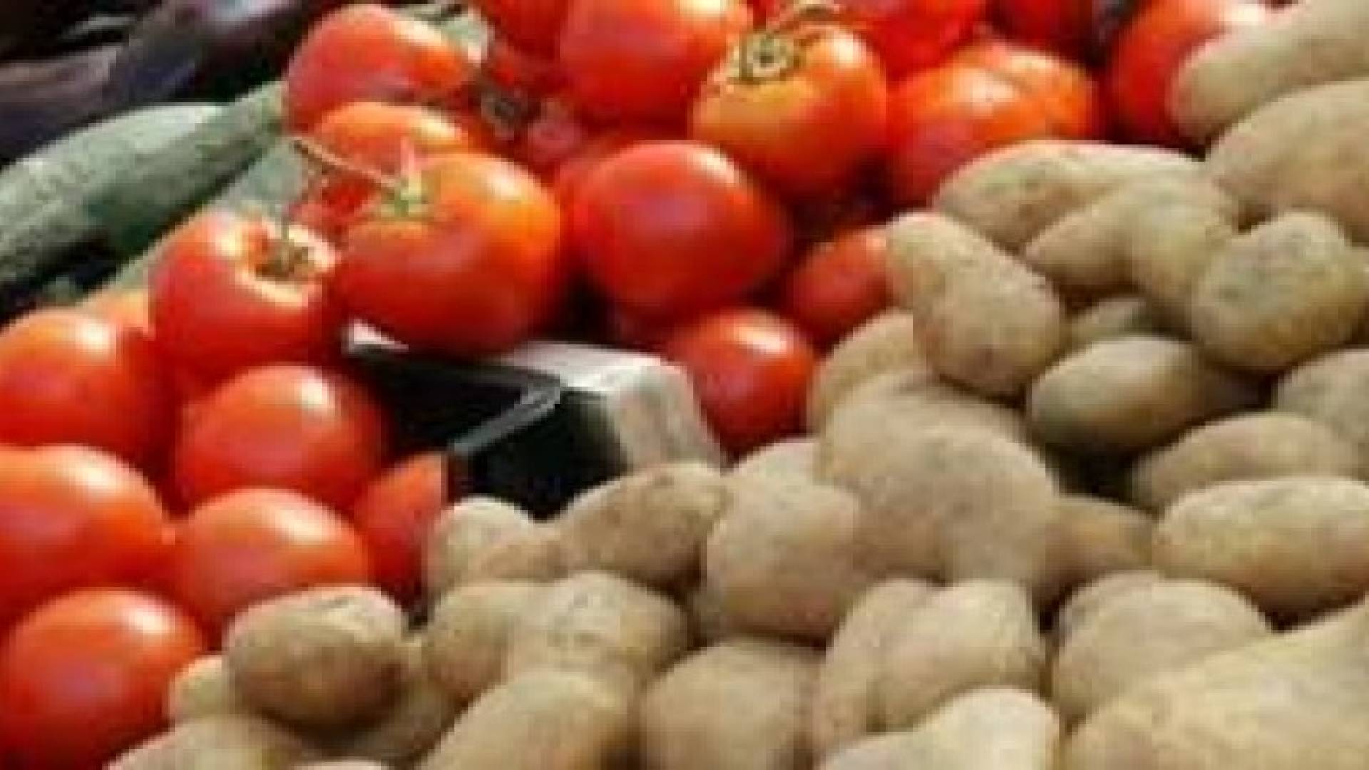 ابوحماد: تكامل انتاج العروة الزراعية يخفض اسعار الخضار