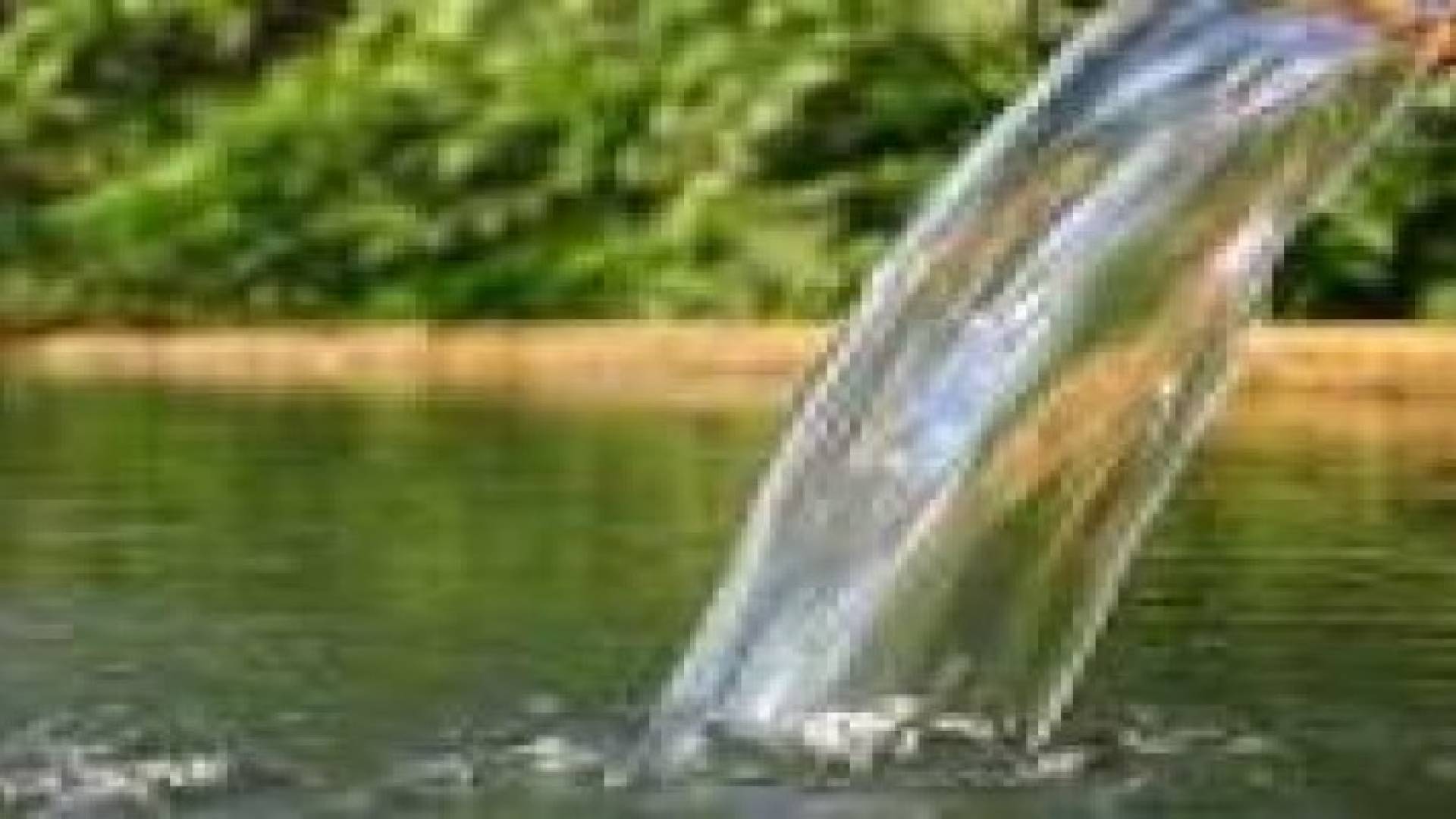 وقف ضخ المياه إلى مناطق في الزرقاء والمفرق.. الاثنين والثلاثاء