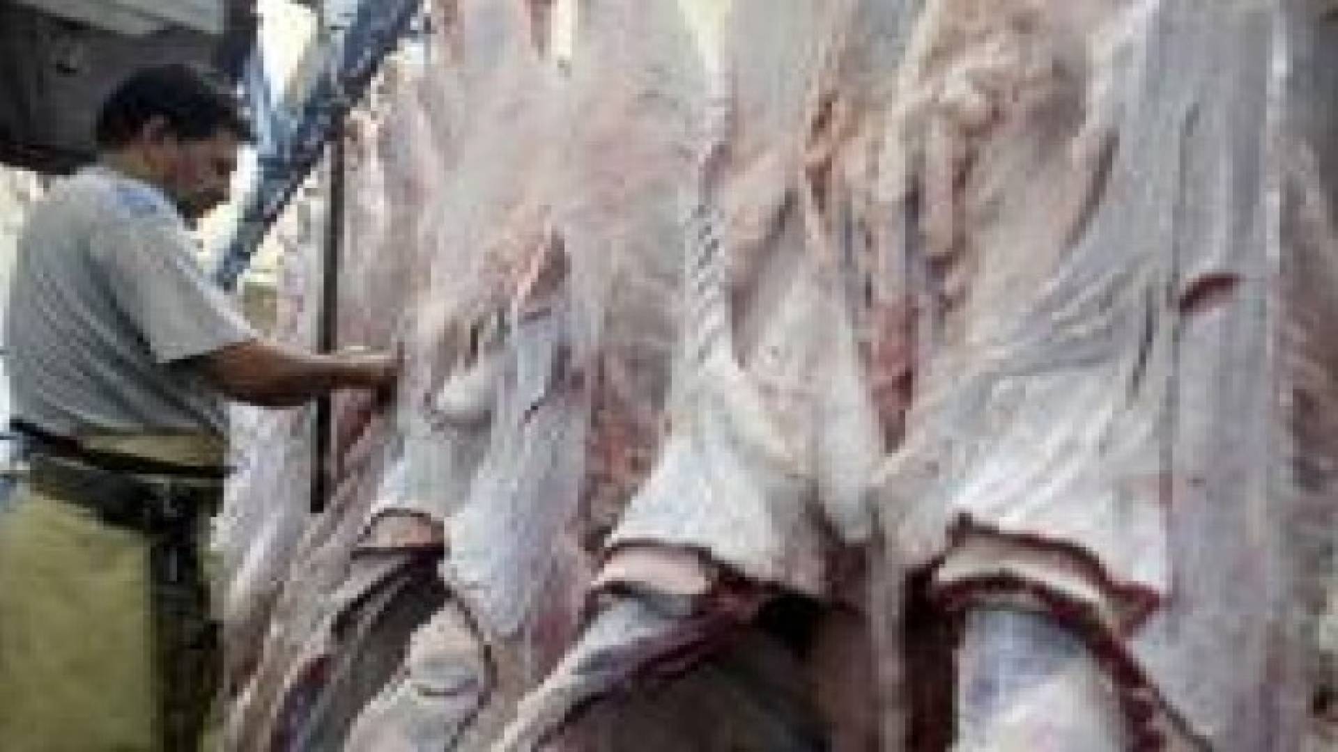 دائرة المسالخ في الأمانة تتلف 331 طنا من اللحوم  وتعاين 16 الف طن خلال ثلاثة اشهر