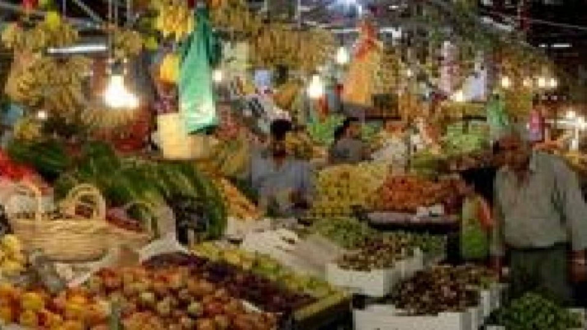 سوق خضار العارضة : الانتهاء من الاستعدادات لإنتاج الموسم الزراعي الشتوي لهذا العام