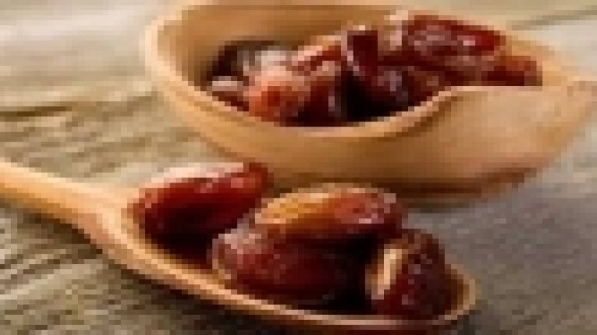 التمر.. خبز الصحراء