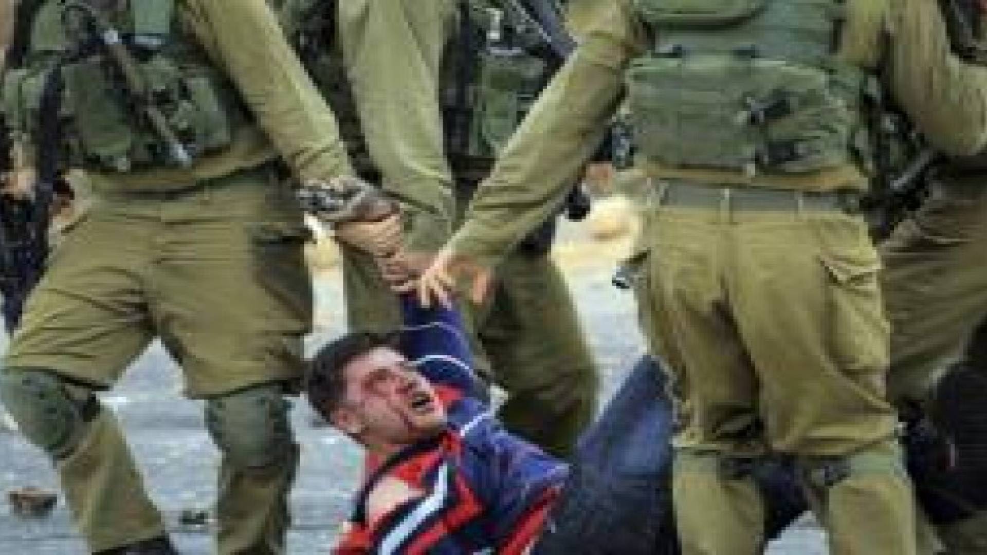 الهلال  الأحمر الفلسطيني: 272 مصابا في الضفة الغربية الاربعاء