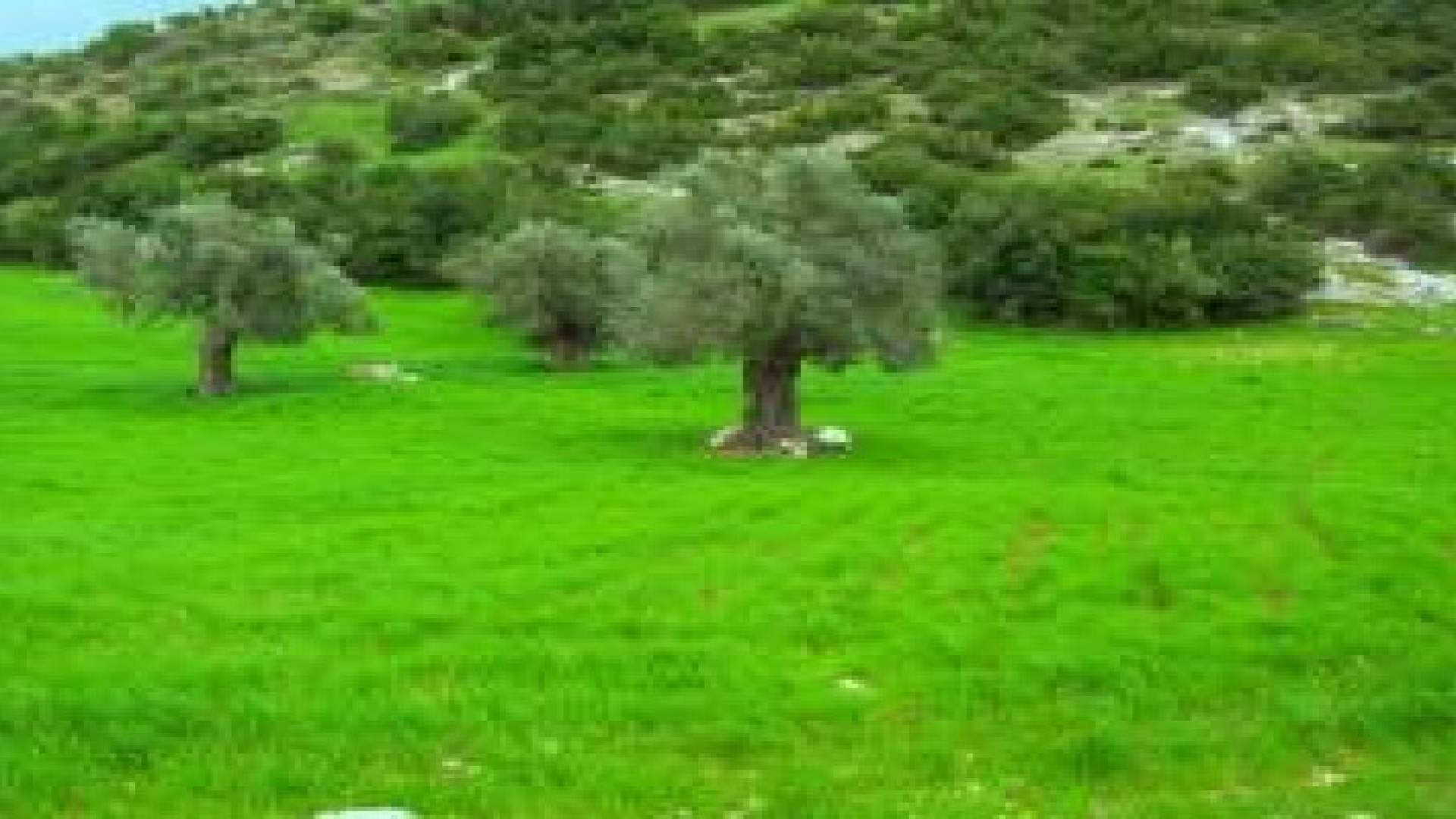 استقرار لحالة الطقس وارتفاع قليل على درجات الحرارة