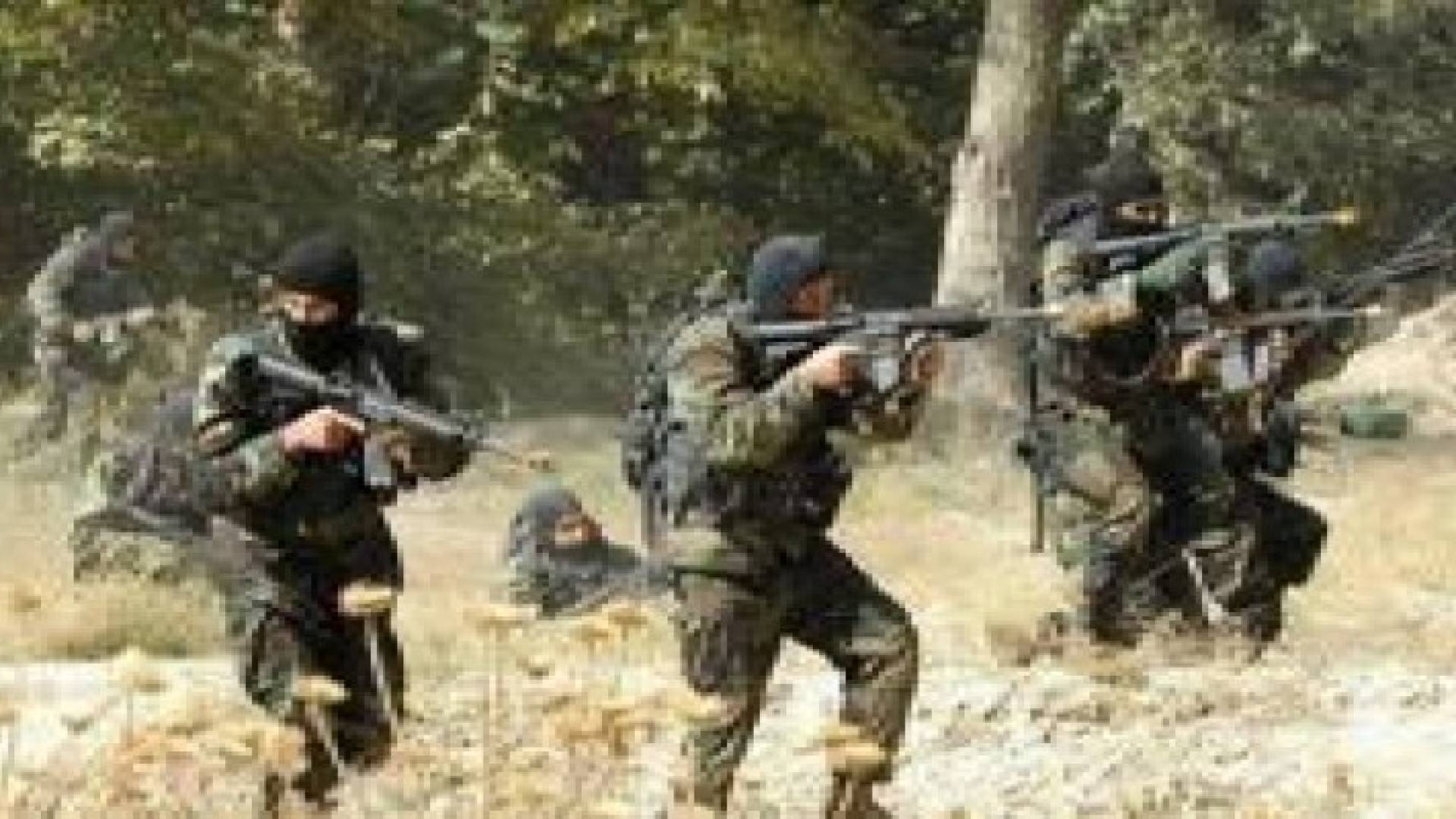 الجزائر: مقتل قيادي من (القاعدة) قرب الحدود التونسية