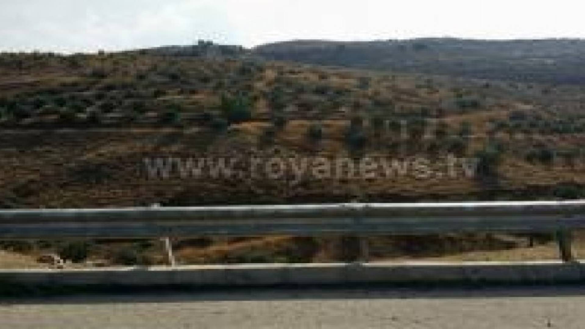 الجمارك تبحث المعوقات مع نقابة وكلاء الملاحة البحرية